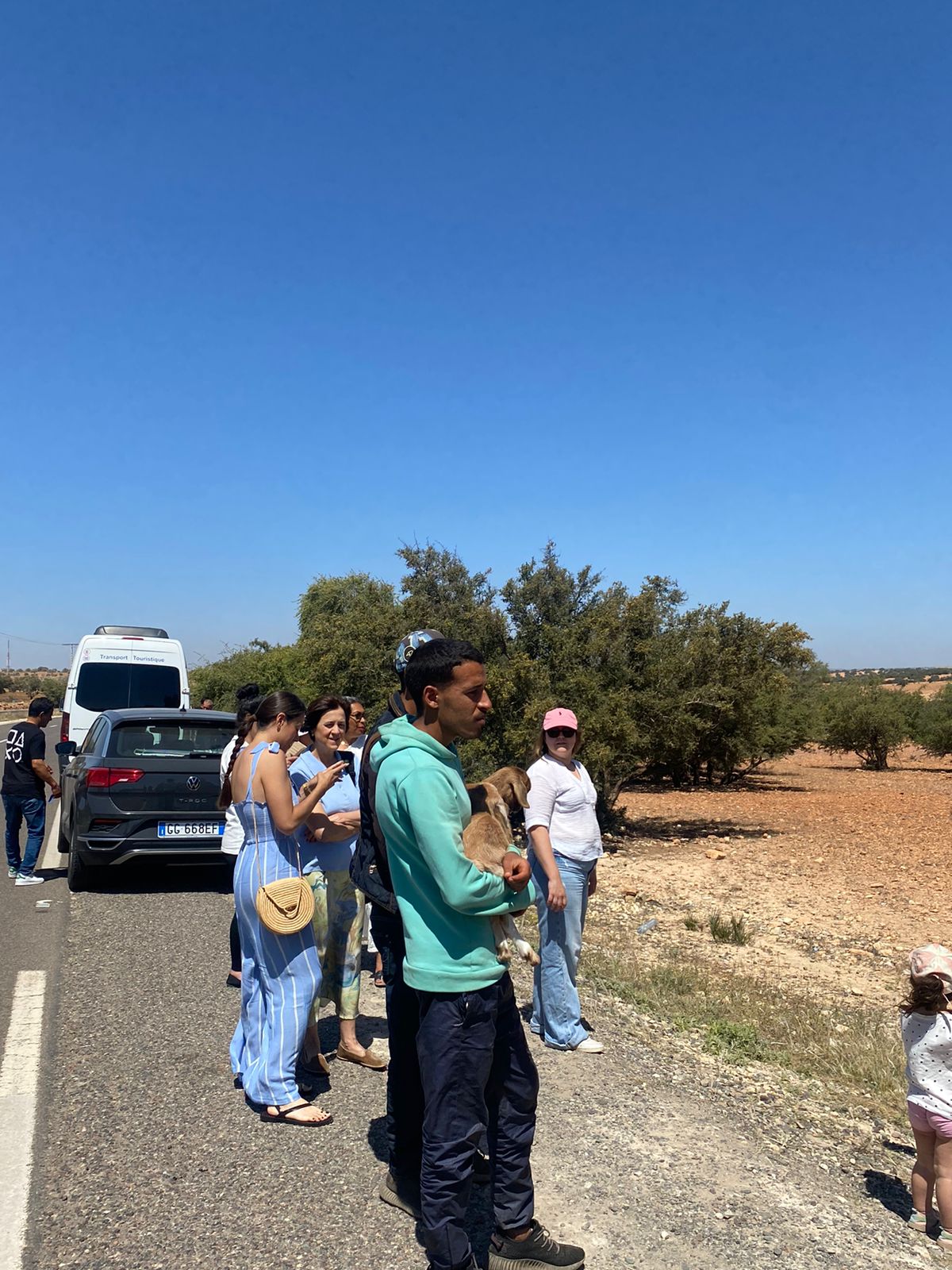 Discover Essaouira on this day trip