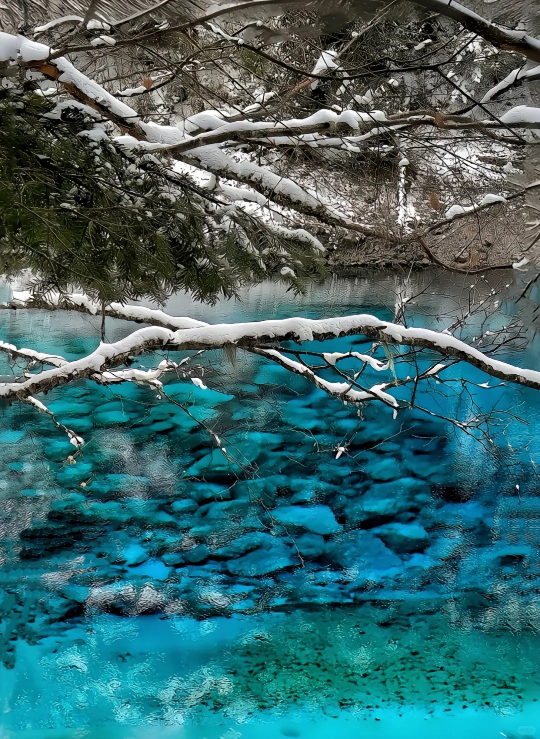 冬日的九寨溝，宛如夢幻的冰雪王國。雪花紛紛揚揚，為山林披上潔白盛裝，使山林更顯靜謐深邃。海子在雪的輕吻下，如一面面冰鏡，清澈神秘。瀑布則凝固成晶瑩剔透的冰雕，在陽光下熠熠生輝，彷彿時間都為之靜止，美得讓人心醉神迷。
