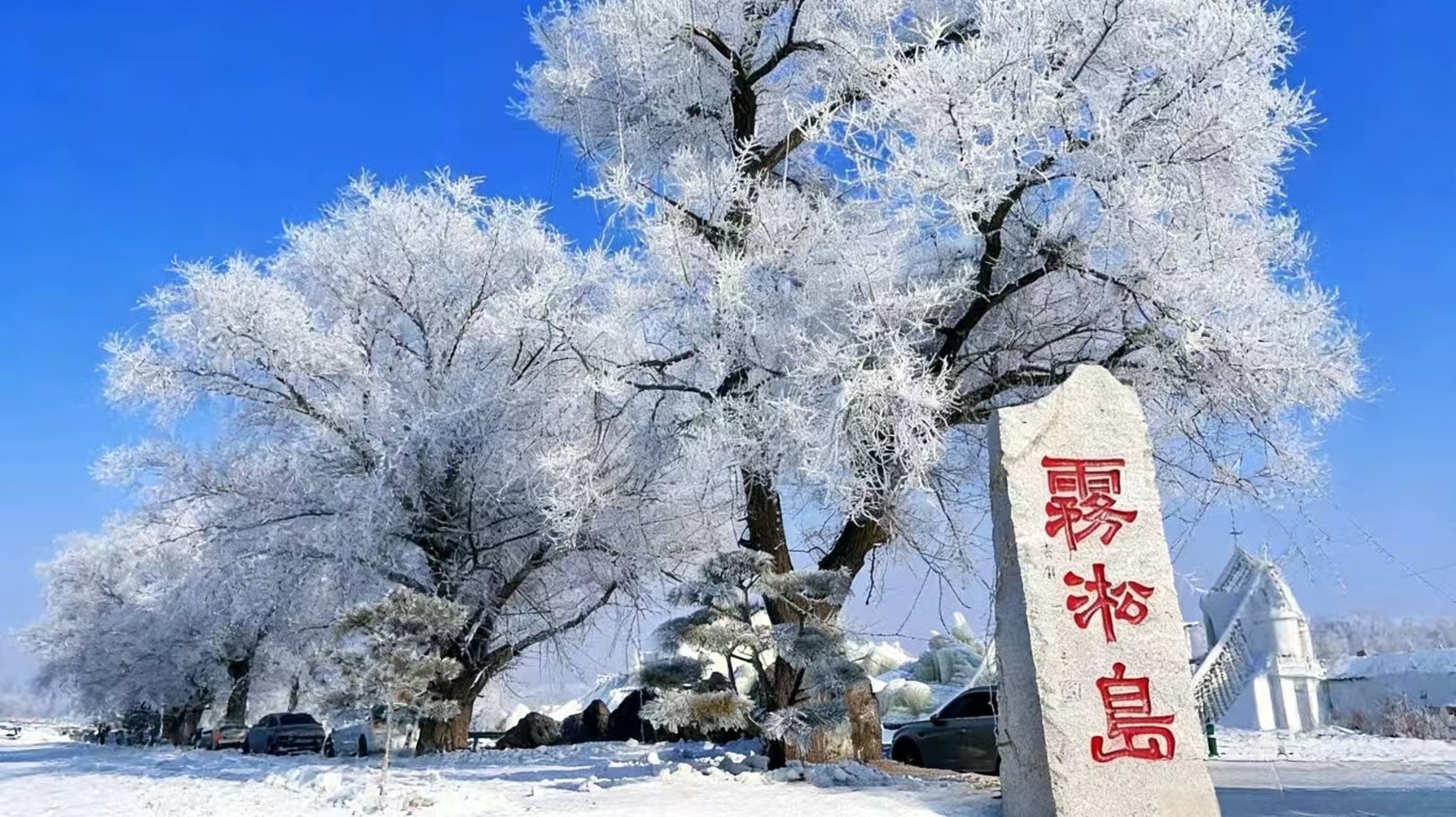 霧凇島的冬日盛景:玉樹瓊枝裹滿霧凇,石碑紅字醒目,藍天襯得銀白世界格外澄澈,盡顯北國冬日韻味 霧凇島的冬日盛景:玉樹瓊枝裹滿霧凇,石碑紅字醒目,藍天襯得銀白世界格外澄澈,盡顯北國冬日韻味