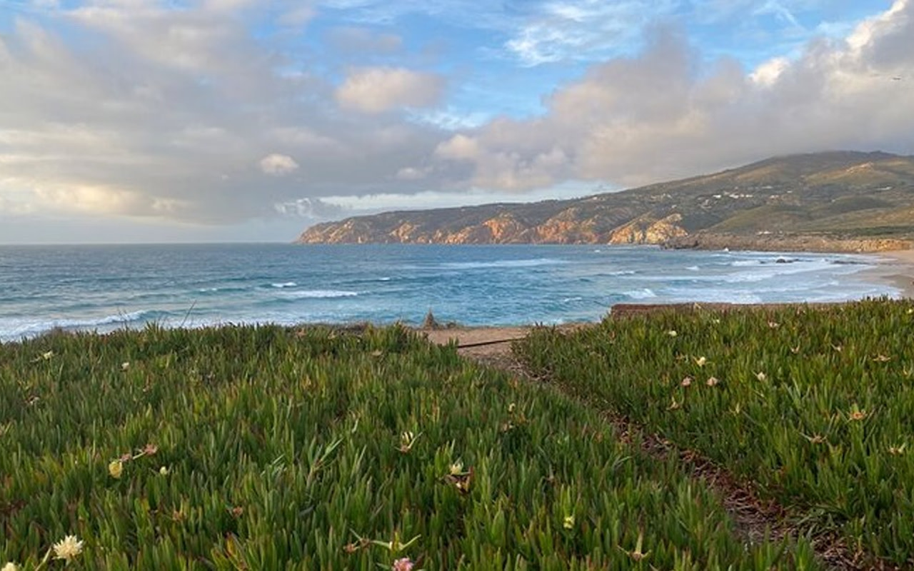 Sintra, Pena Palace, Cape Roca and Cascais tour from Lisbon