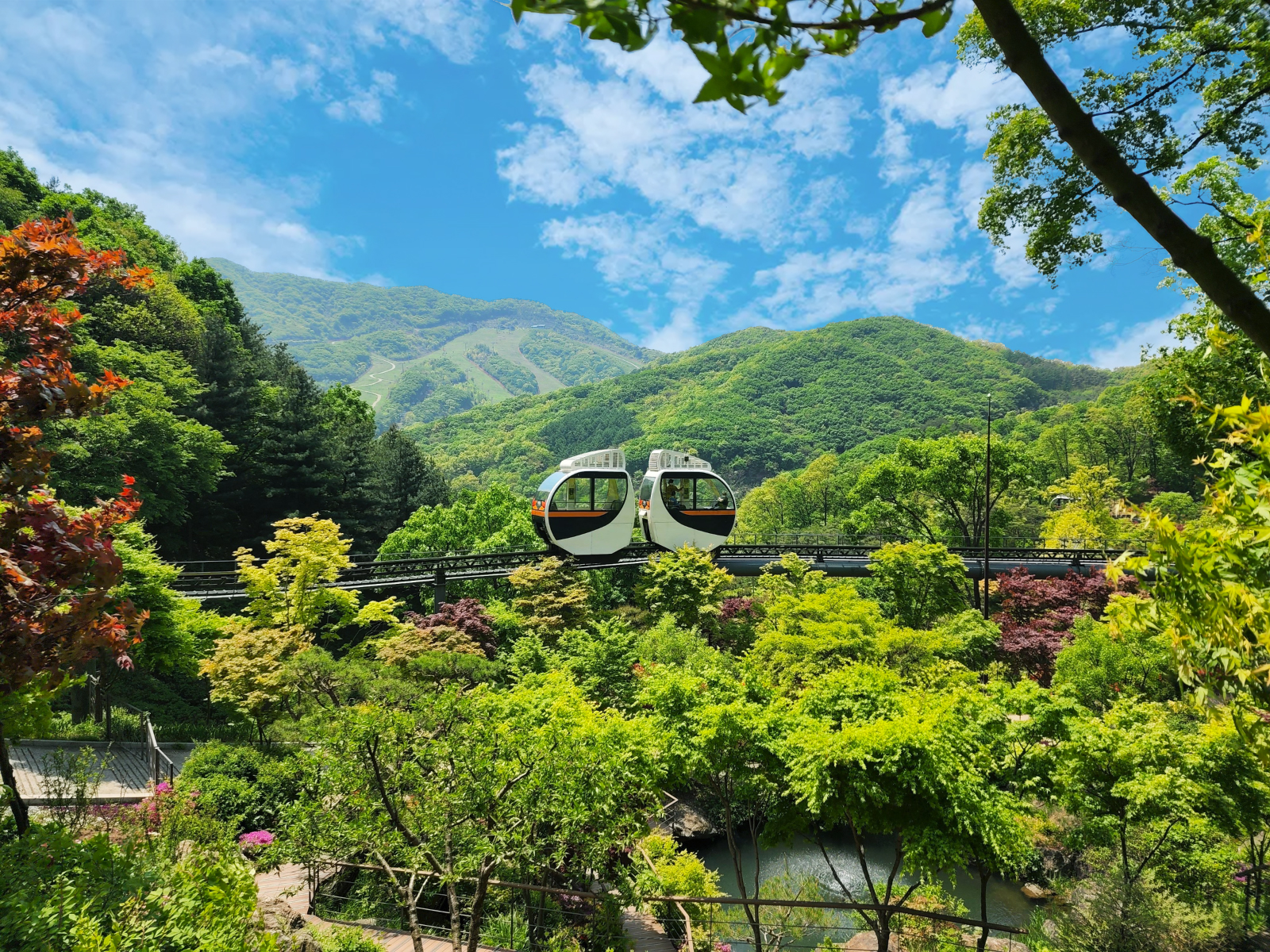 花潭樹（Hwadam Botanic Garden），首爾郊外的一顆隱藏的寶石。