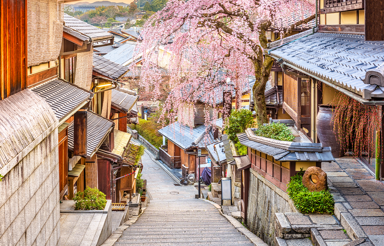 京都+奈良+清水寺區域-和服體驗+八坂神社+伏見稻荷大社+奈良公園-看鹿和楓葉的奈良公園+東大寺