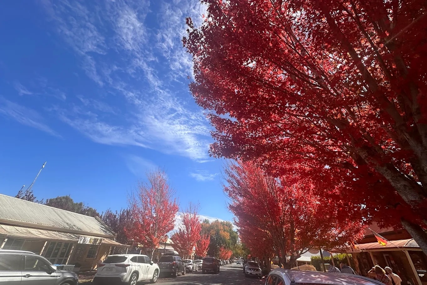 Ultimate South Australia Highlights Full-Day Tour