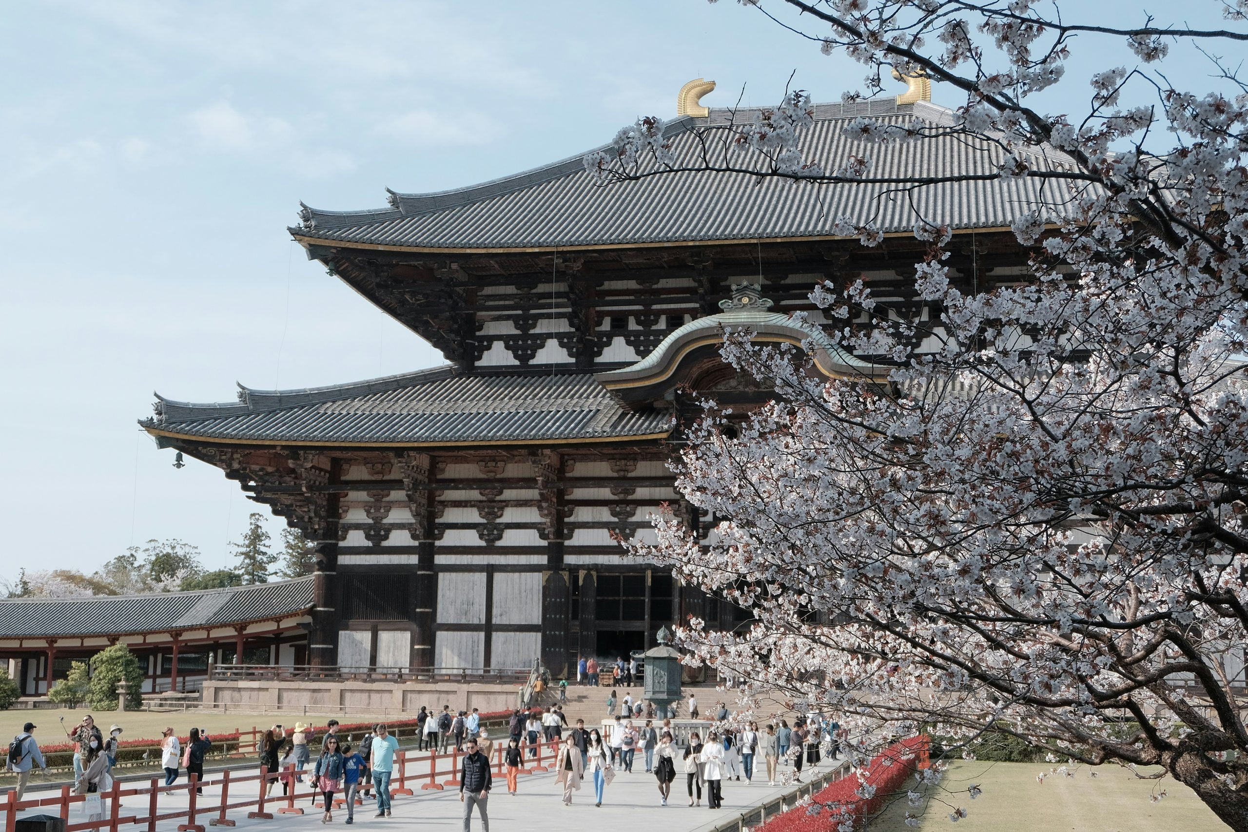 Nara Heritage Walkabout 