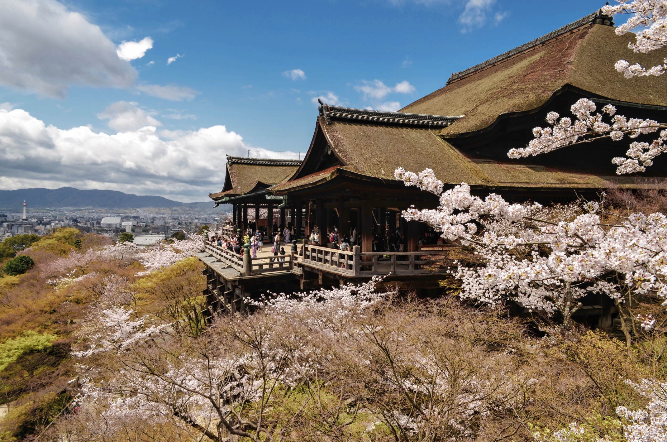 從大阪出發，伏見稻荷大社、嵐山、清水寺一日遊