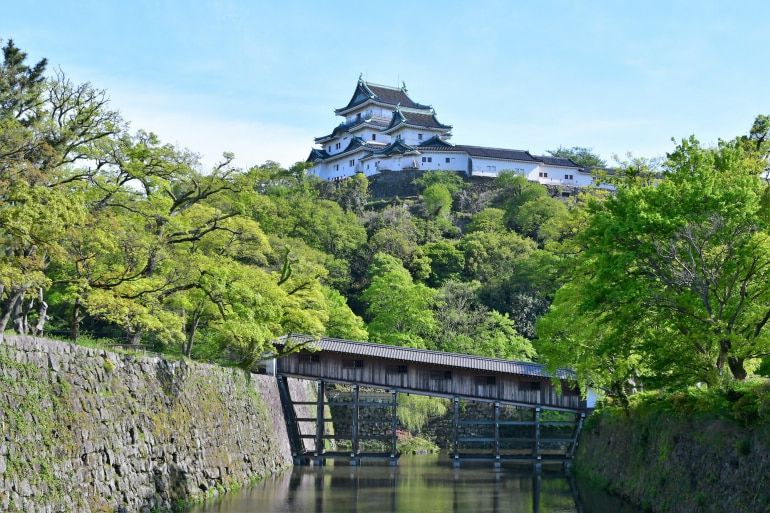 和歌山城x黑潮市場x奈良神鹿公園x東大寺一日遊(大阪出發)