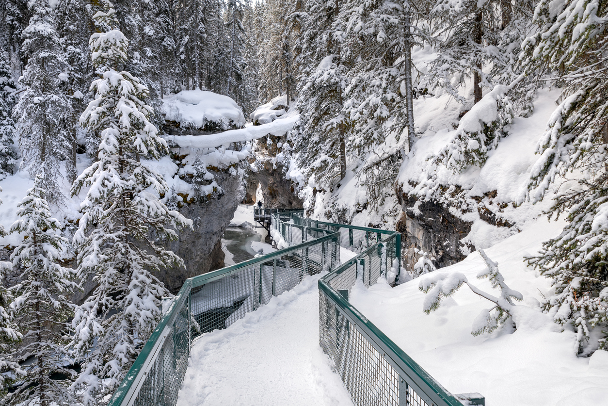 從坎莫爾和班夫出發的路易斯湖 (Lake Louise) 和約翰斯頓峽谷 (Johnston Canyon) 之旅