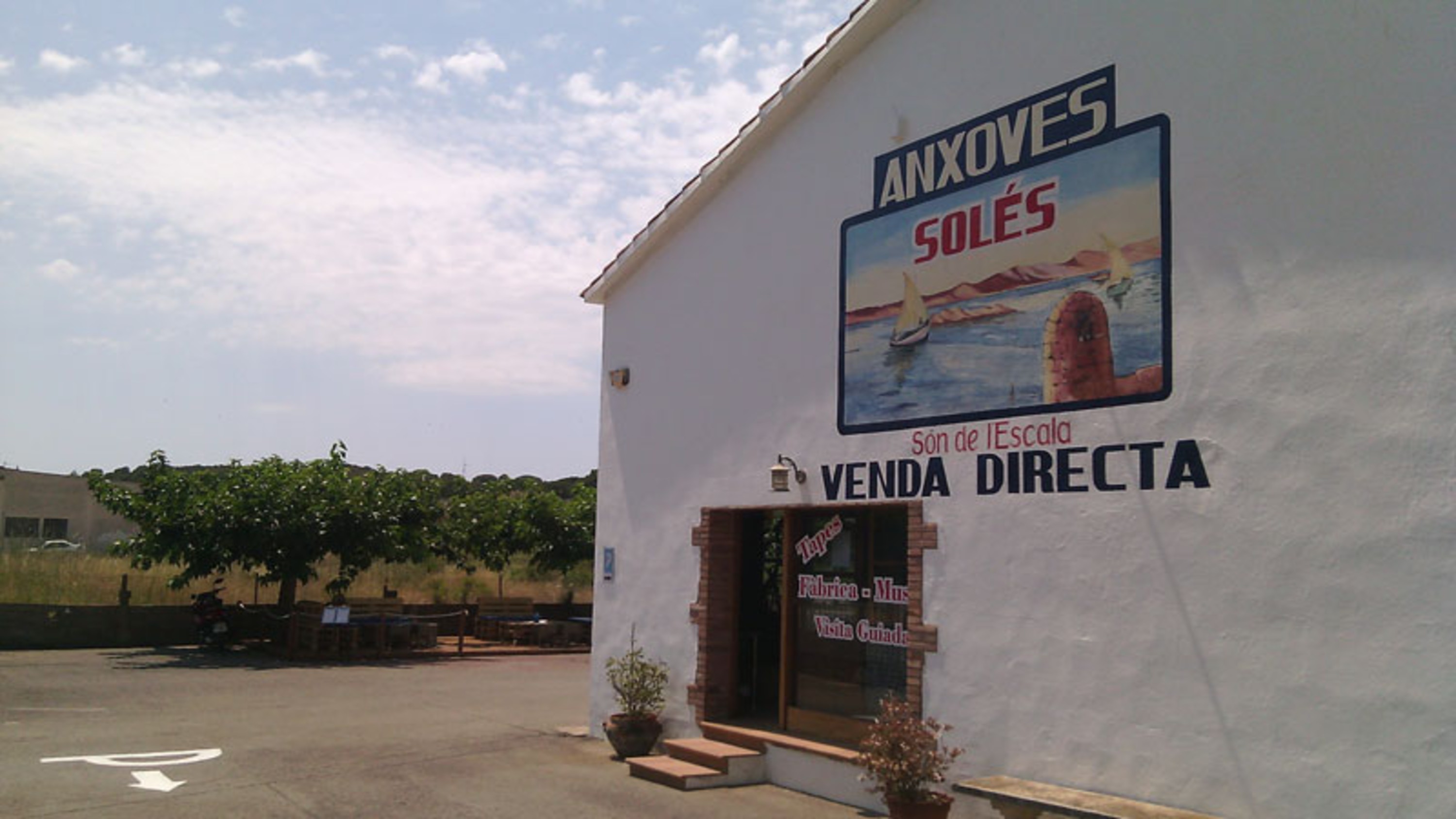 Soles Anchovy Factory Museum Ticket in La Escala