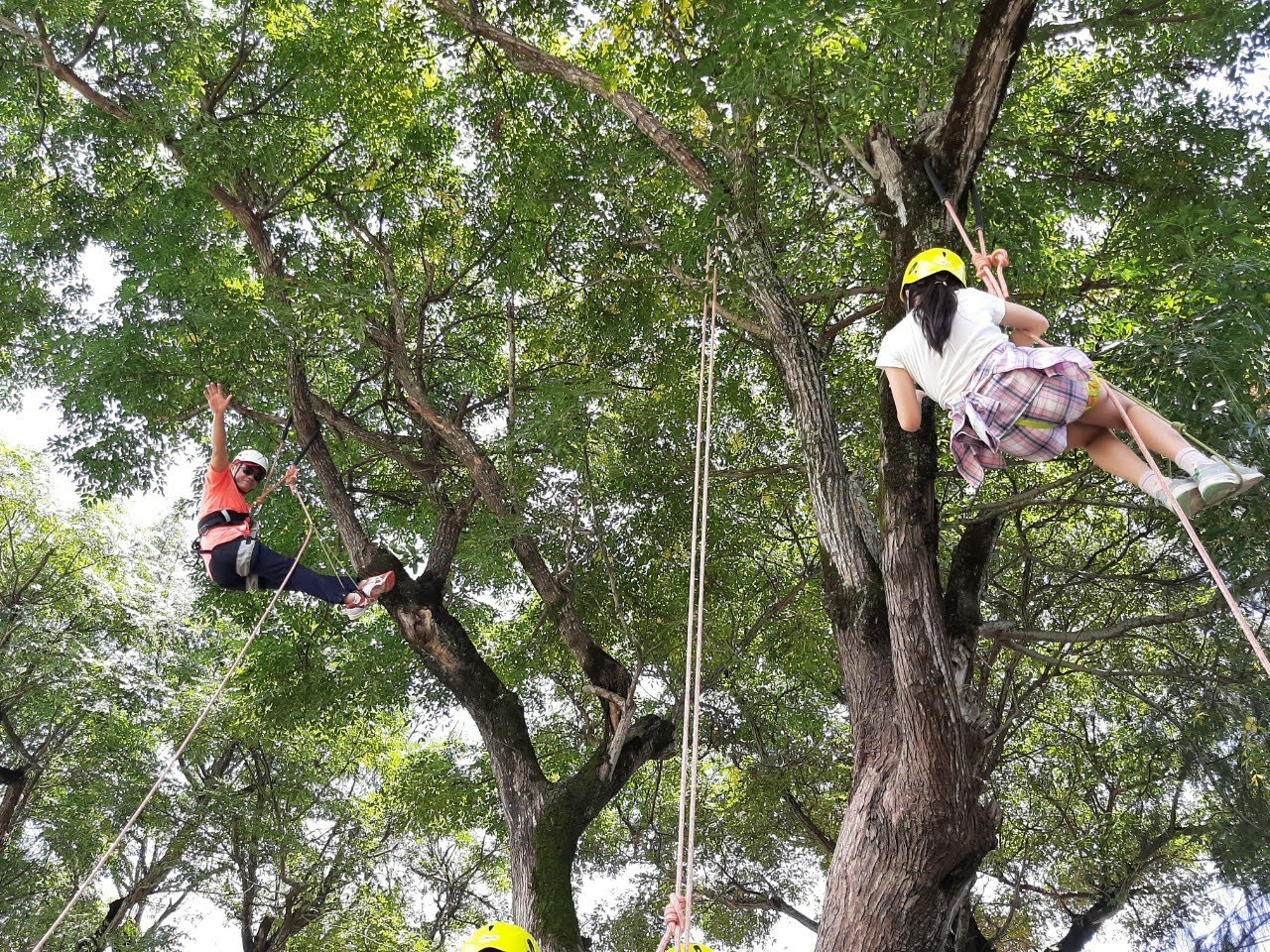 Yilan: Tree Climbing Base | Tree Climbing Experience