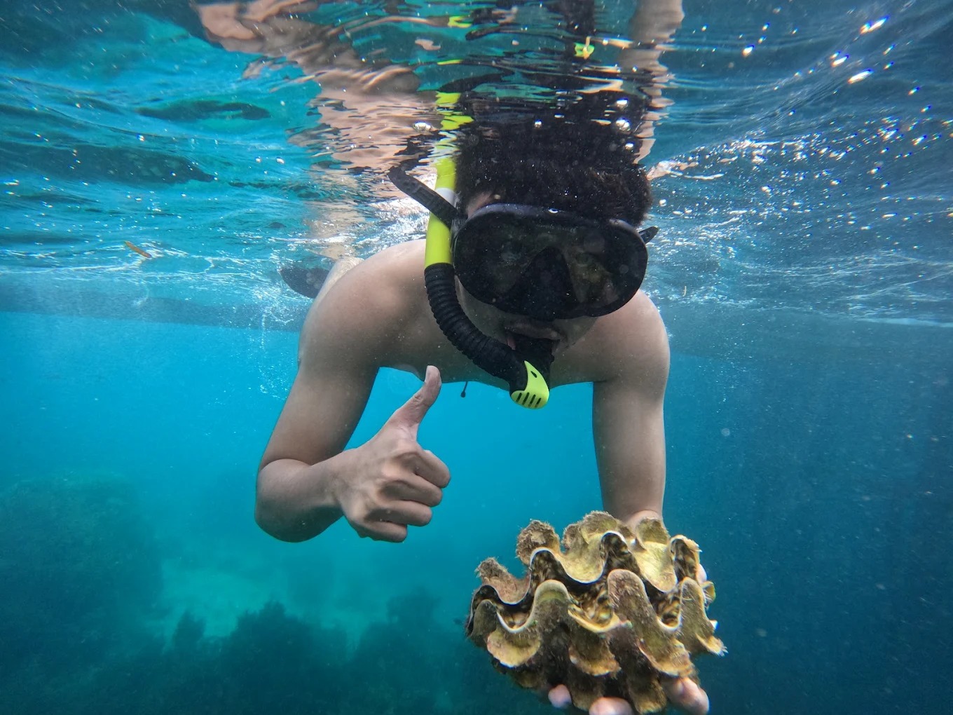 Snorkeling Tour at Bintan Resort Area by Taxi Bintan Island