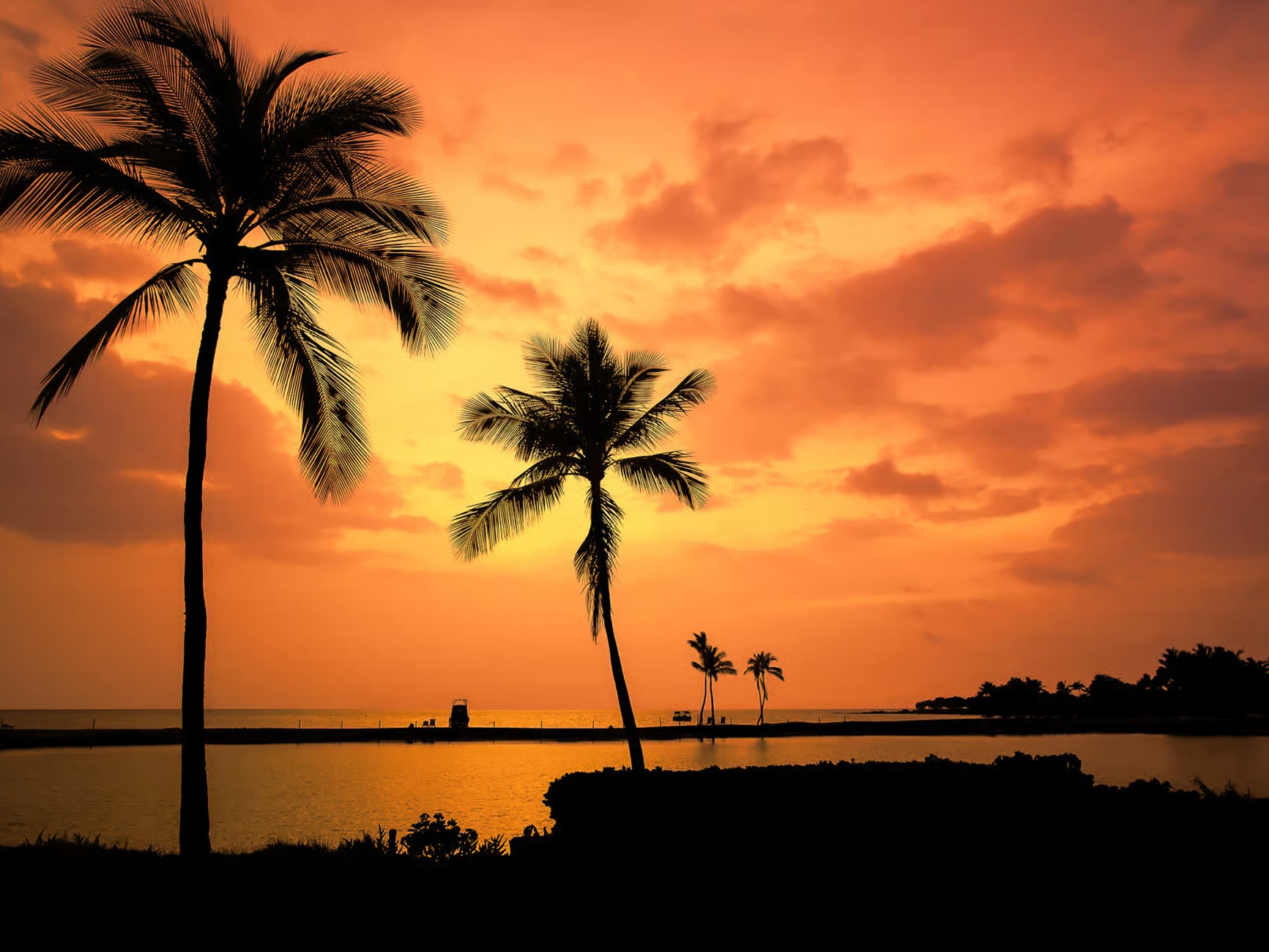 親眼見證金黃色的夕陽灑落在平靜的太平洋海面上,為完美的航程畫下句點 親眼見證金黃色的夕陽灑落在平靜的太平洋海面上,為完美的航程畫下句點