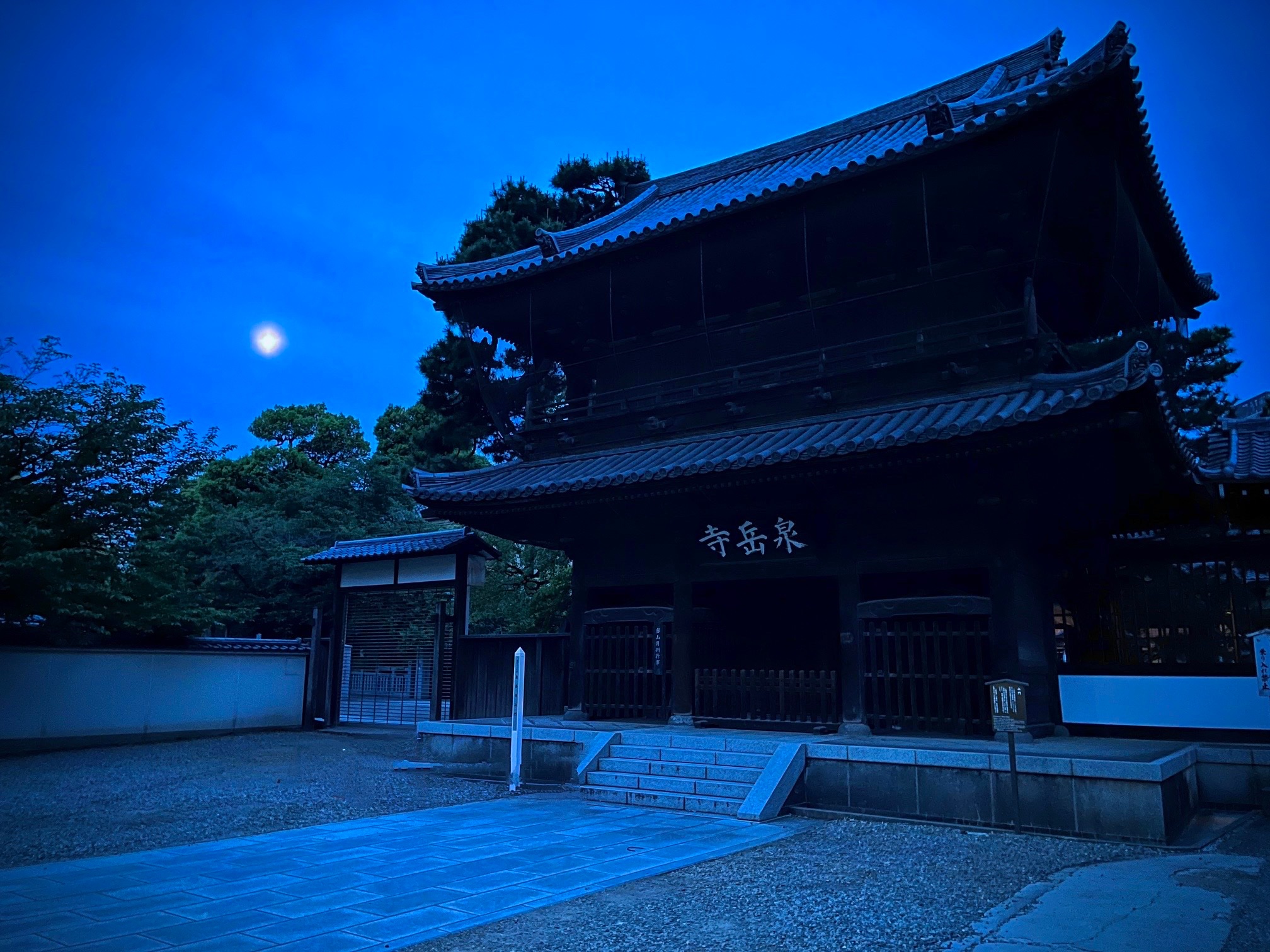 東京：夜間電動自行車之旅（含東京塔和海豚表演）