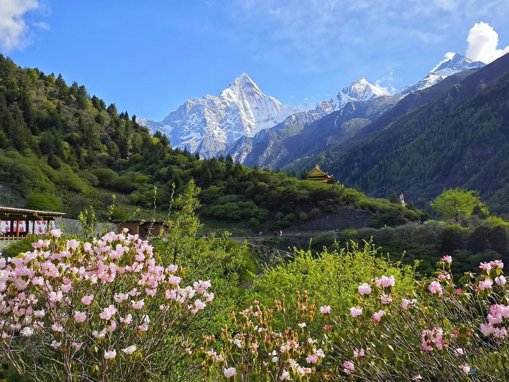 Chengdu Siguniang Tog‘i Shuangqiao va Changpinggou 2 kunlik sayohati