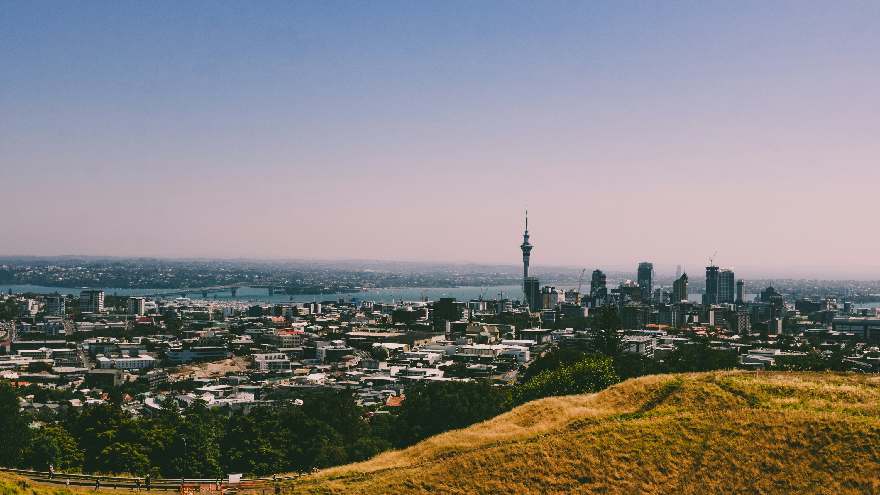 Auckland Half Day Tour Through Urban Wonders