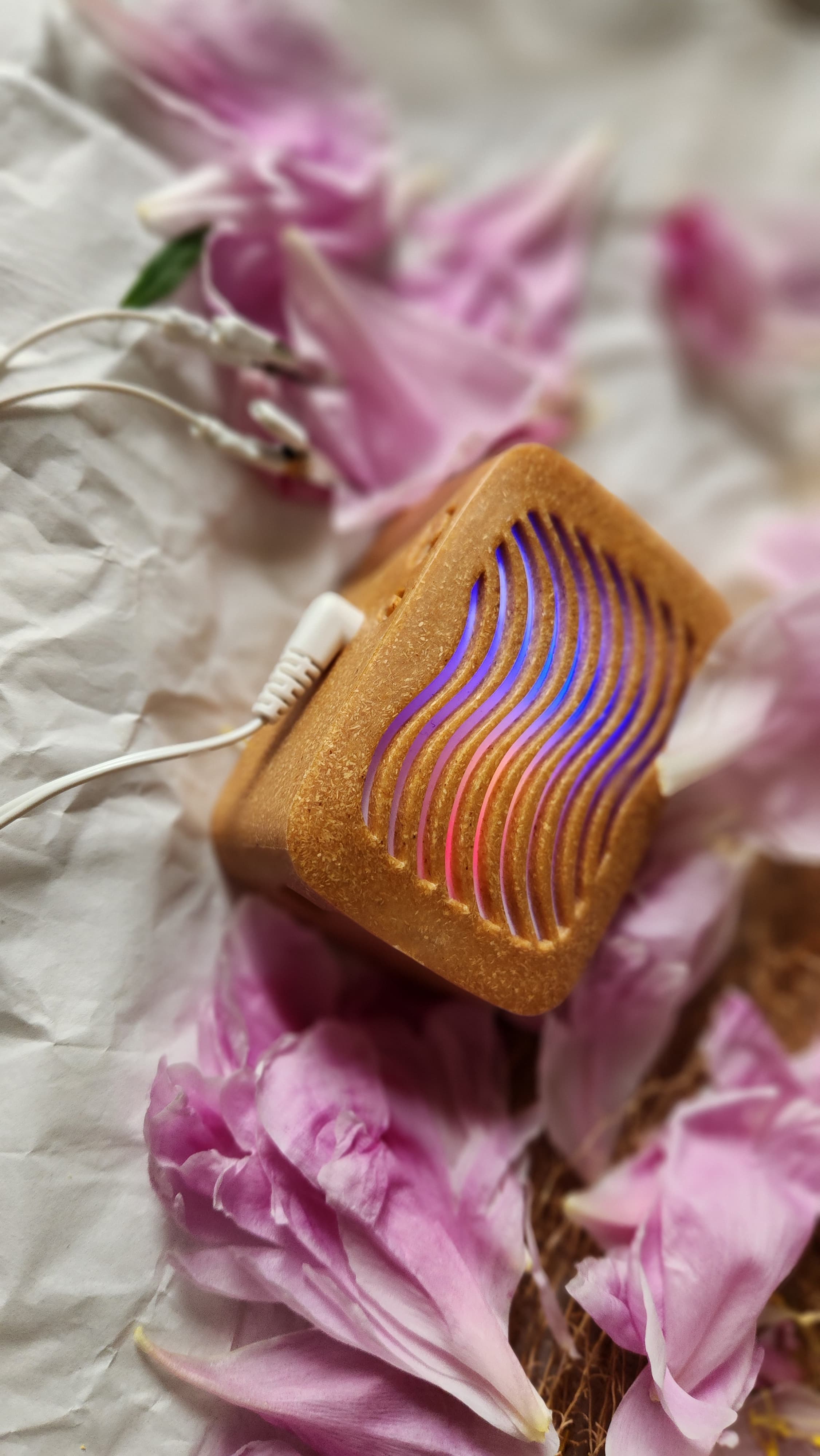 Mini Forest Bathing + Sound Bathing: Plant Music