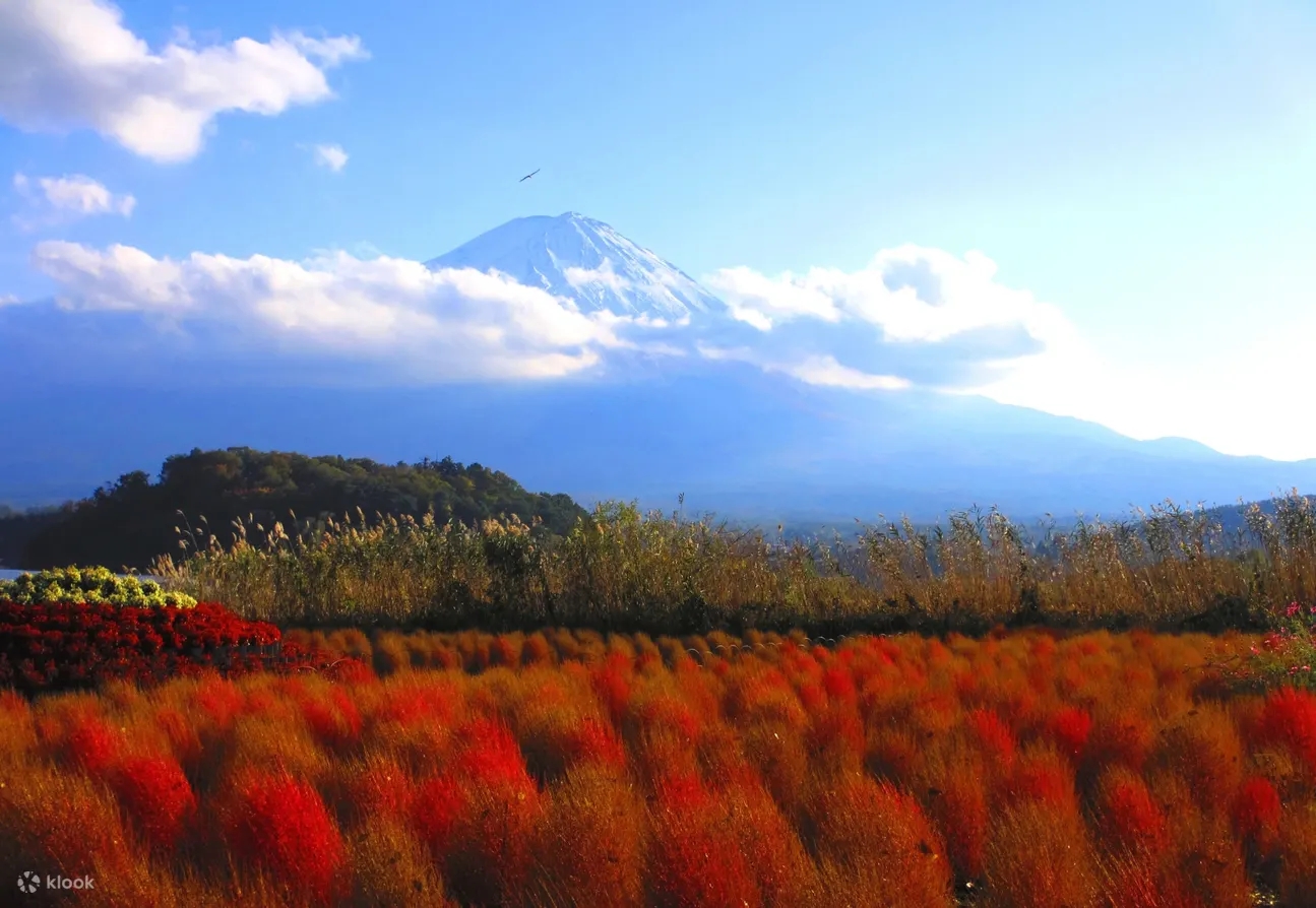 Mount Fuji & Lake Kawaguchi’s Classic Views One-Day Tour (Departing from Tokyo)