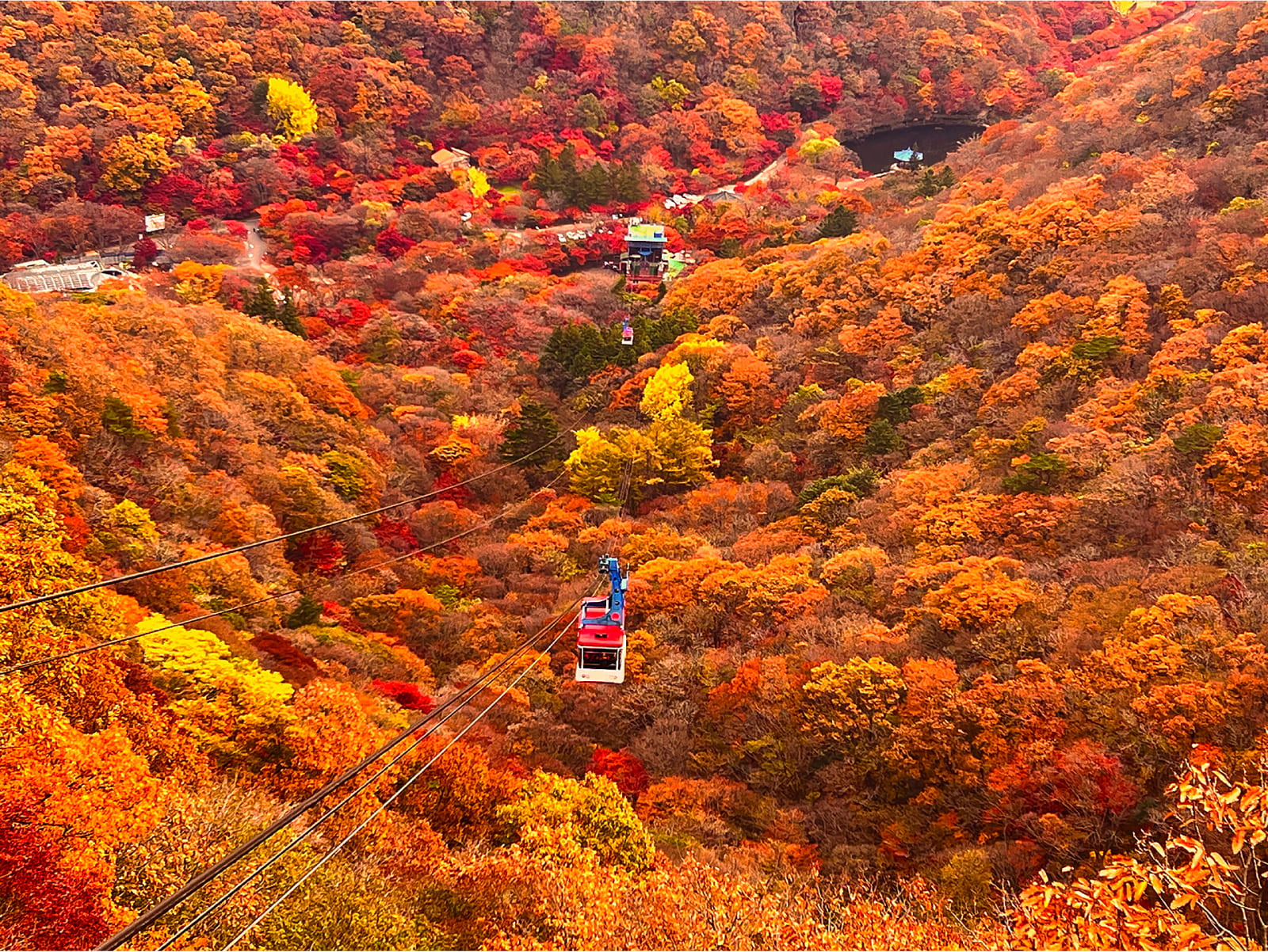 乘坐內藏山纜車!輕鬆飽覽山谷間色彩鮮豔的紅、橙楓樹!(費用不包括纜車) 乘坐內藏山纜車!輕鬆飽覽山谷間色彩鮮豔的紅、橙楓樹!(費用不包括纜車)