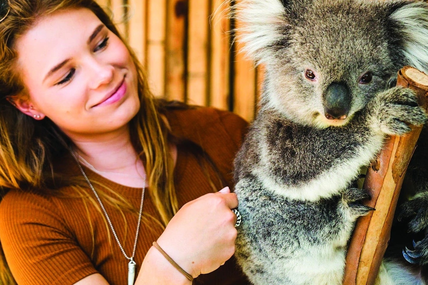 Custom Mornington Peninsula and Moonlit Tour