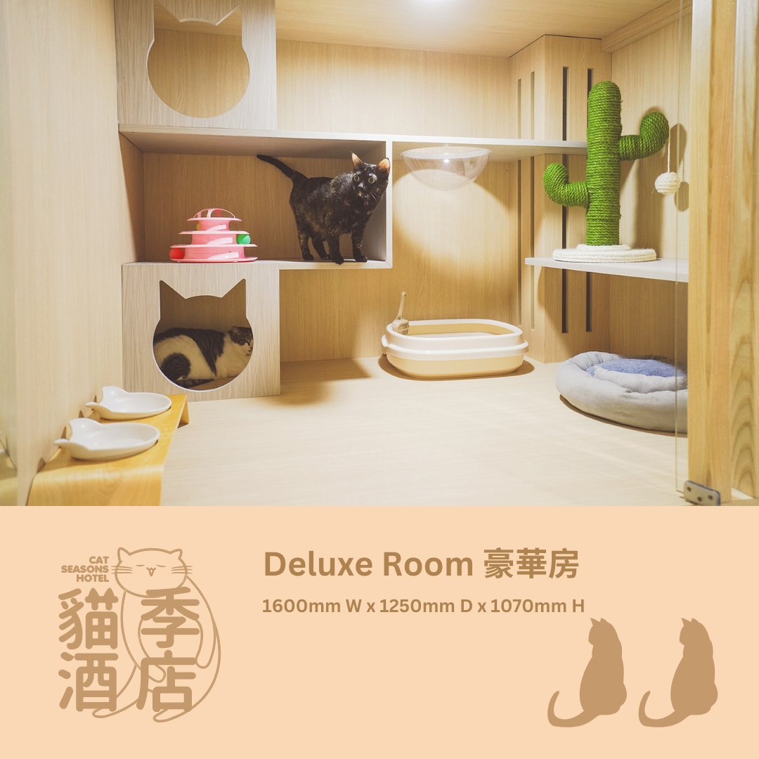 貓季酒店 - 貓貓住宿服務｜觀塘