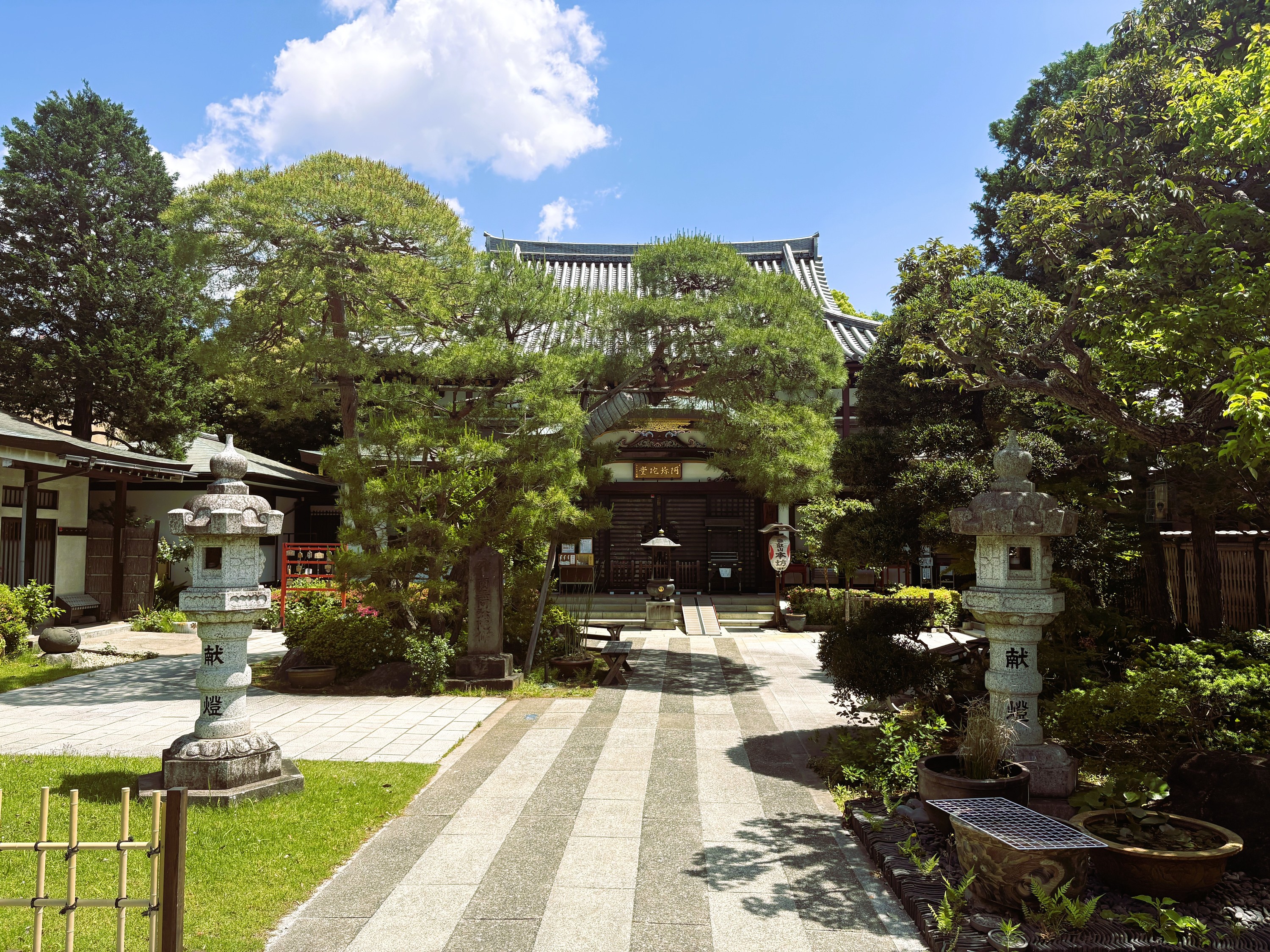 Tokyo Ryūsen-ji Morning Small Group Tour