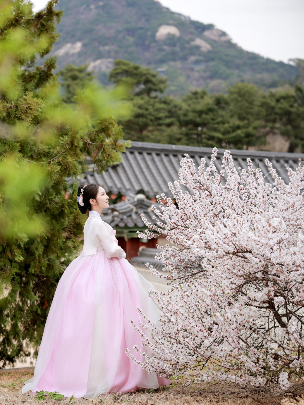 昌德宮韓服體驗（Miso Hanbok）
