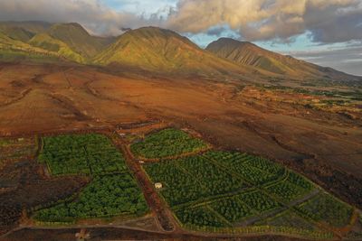 在茂宜島 Ku'ia Estate 巧克力之旅中，驚歎於風景如畫的可可農場景觀