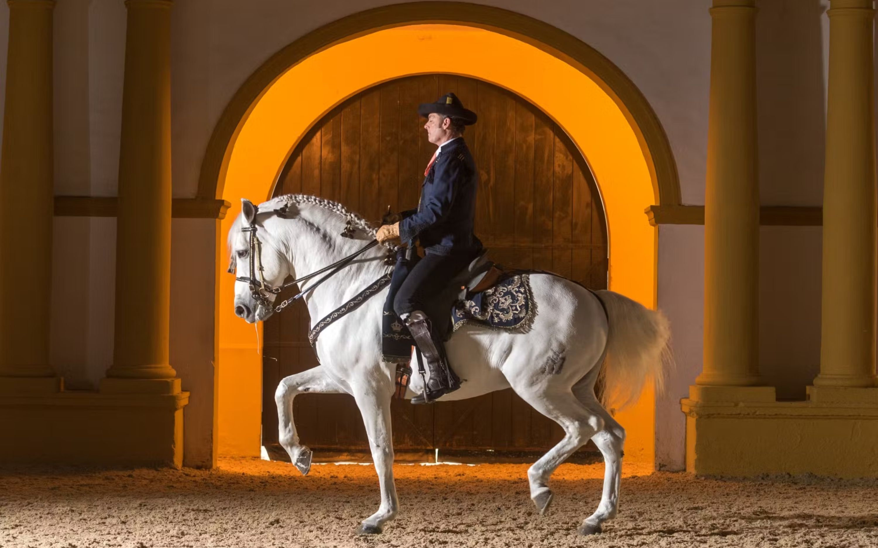 Royal Andalusian School of Equestrian Art full visit experience