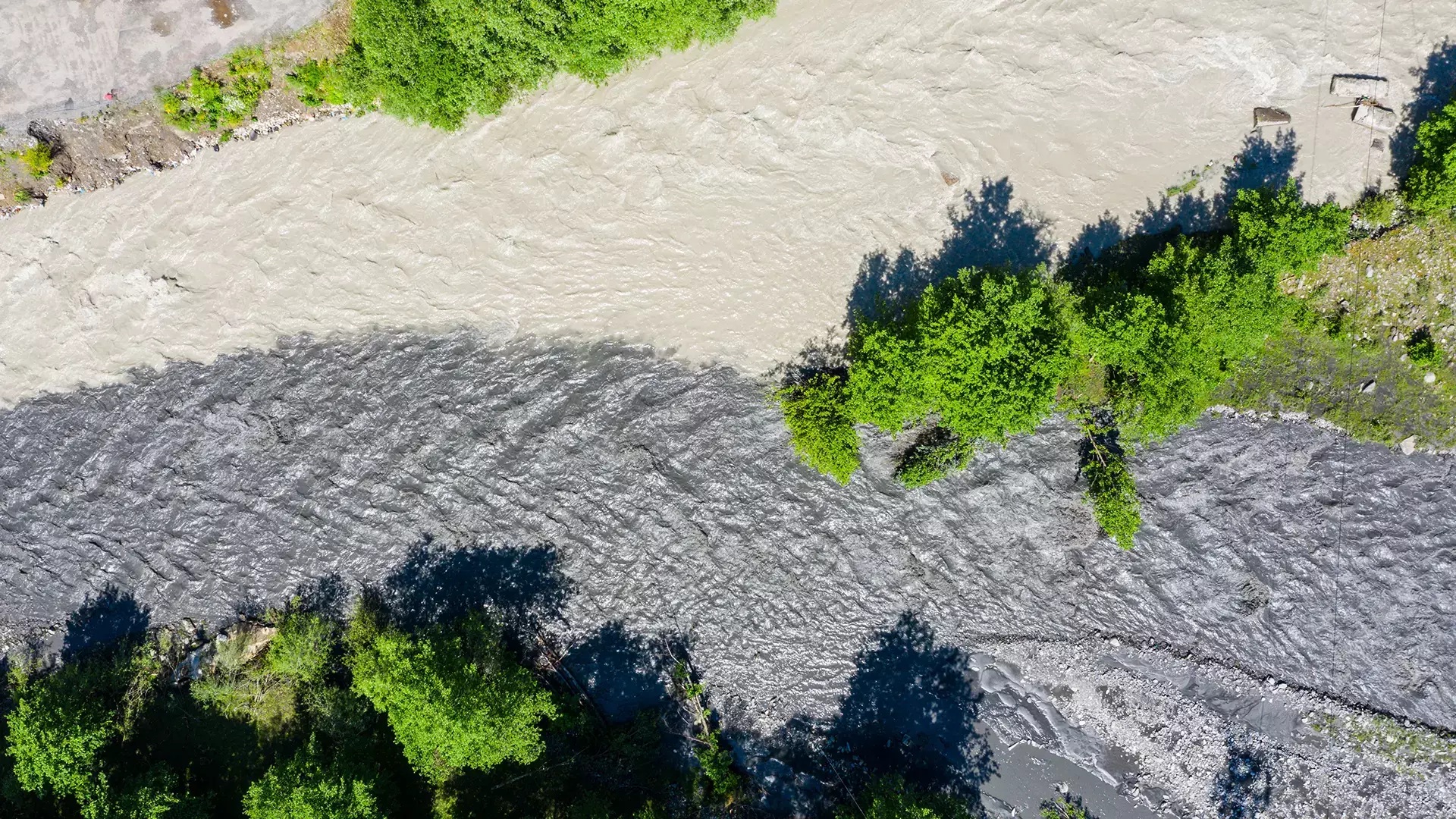 Black and White Aragvi