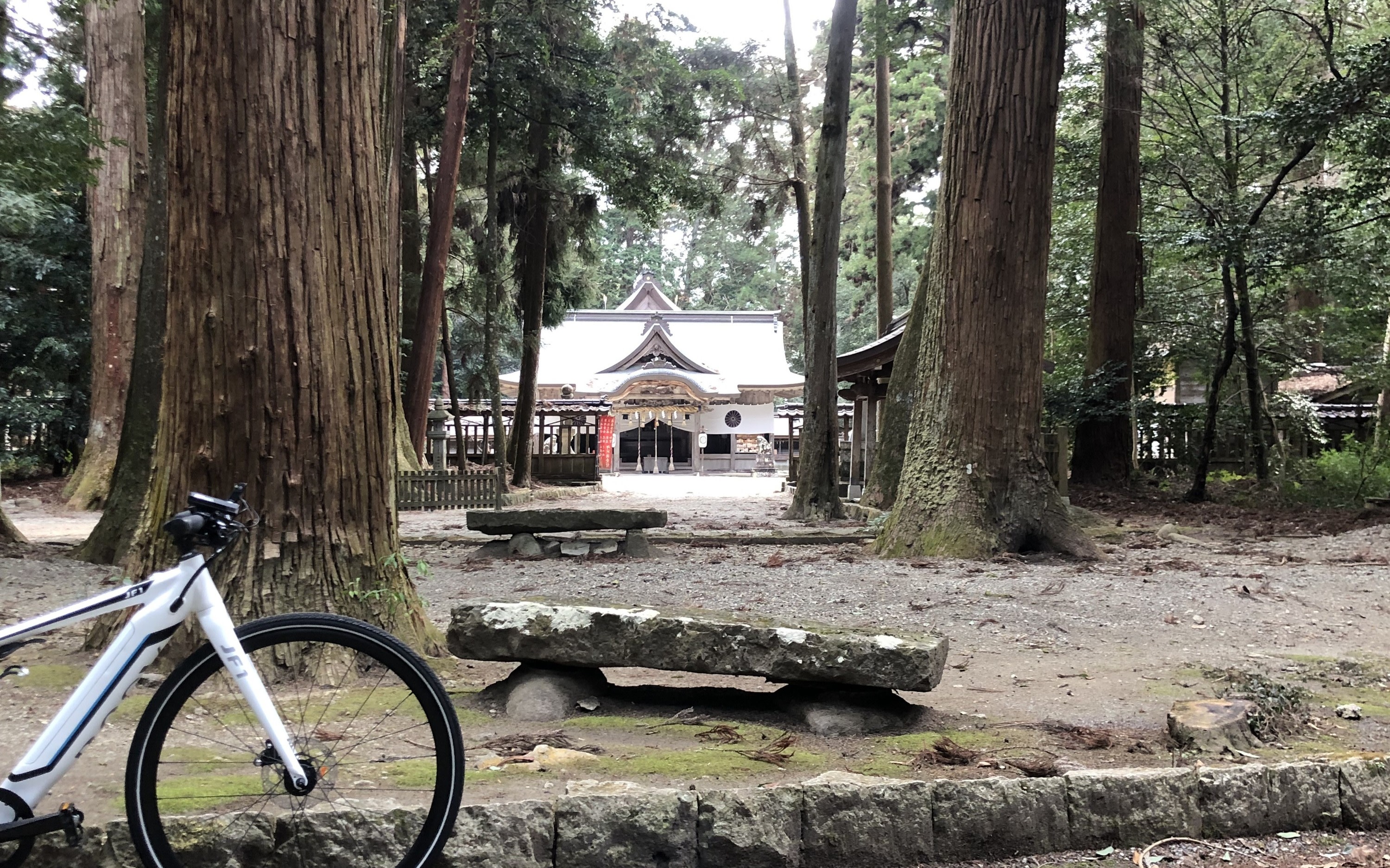 Himeji/Shiso: E-bike Tour to the Birthplace of Sake and Myth, Cycling Through the Nature-Rich Shiso and Enjoying a Healthy Fermented Lunch at a Sake Brewery (with Ekisoba Ticket!)