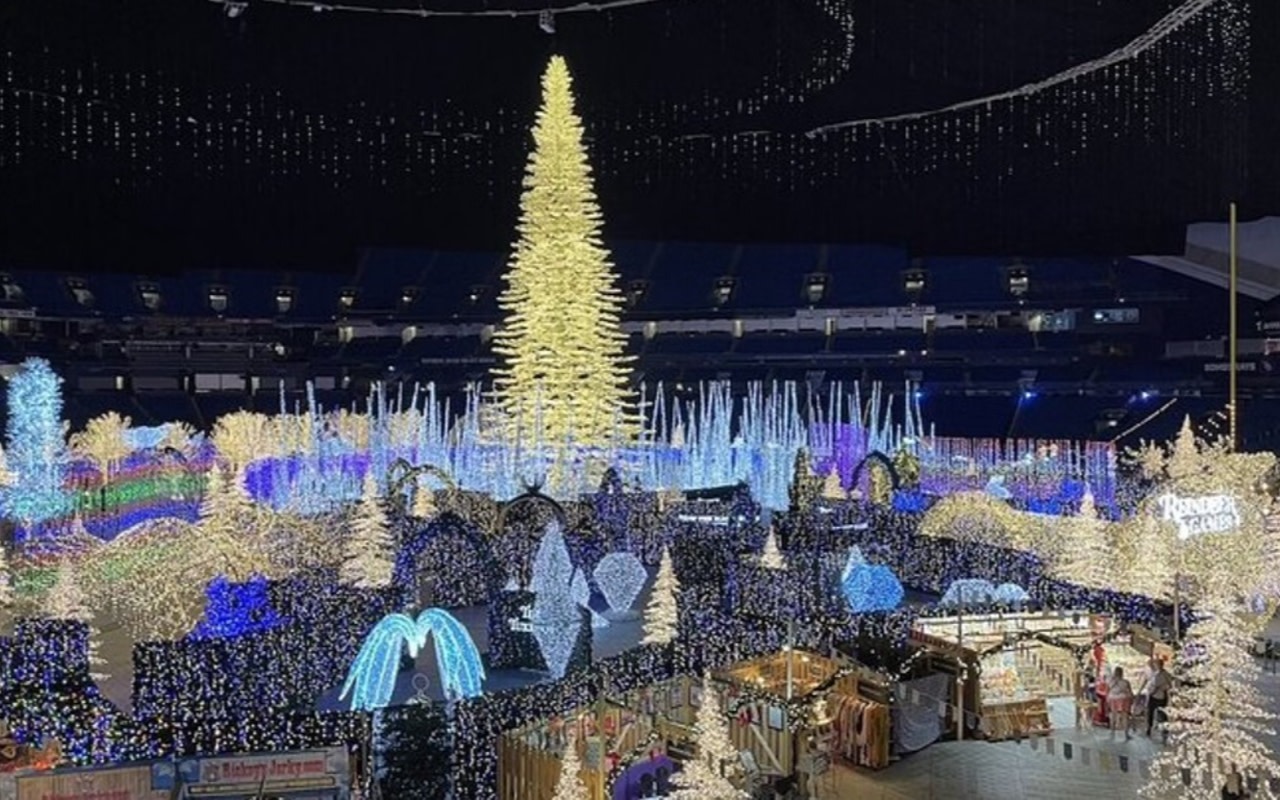 Christmas lights wonderland golf cart tour in St. Petersburg