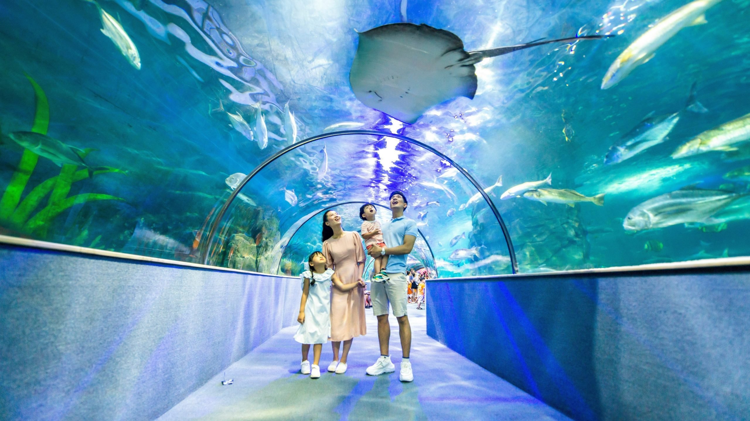 Vinpearl Aquarium
