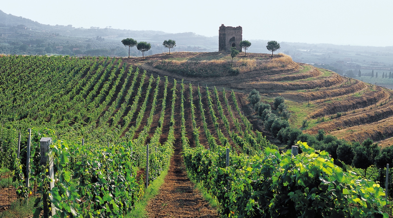 [SALE] Roman Countryside Vineyards Tour in Rome with Wine Tastings