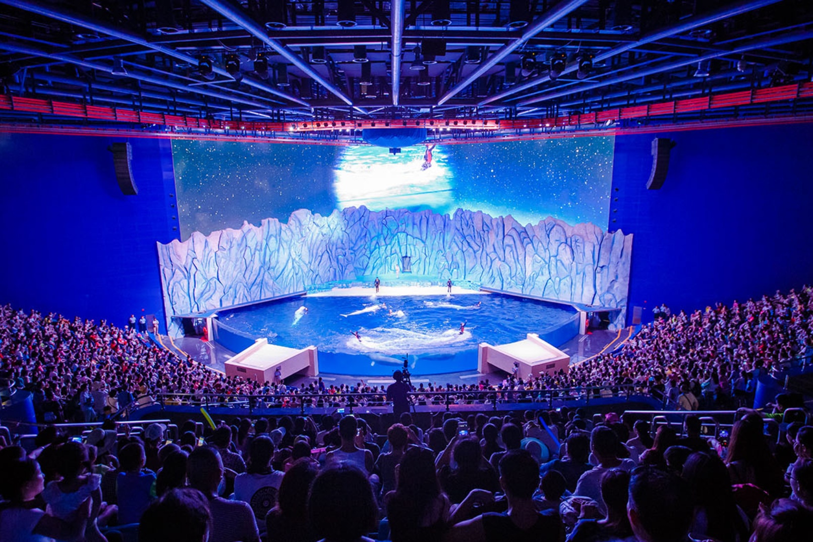 白鯨劇場
全天候恆溫的「白鯨劇場」設有約4,000個座位,在動人的音樂伴奏和訓練員指揮下,多頭可愛的白鯨在水中做出跳躍和360度旋轉等高難度動作,體態優美如水中芭蕾。 白鯨劇場
全天候恆溫的「白鯨劇場」設有約4,000個座位,在動人的音樂伴奏和訓練員指揮下,多頭可愛的白鯨在水中做出跳躍和360度旋轉等高難度動作,體態優美如水中芭蕾。