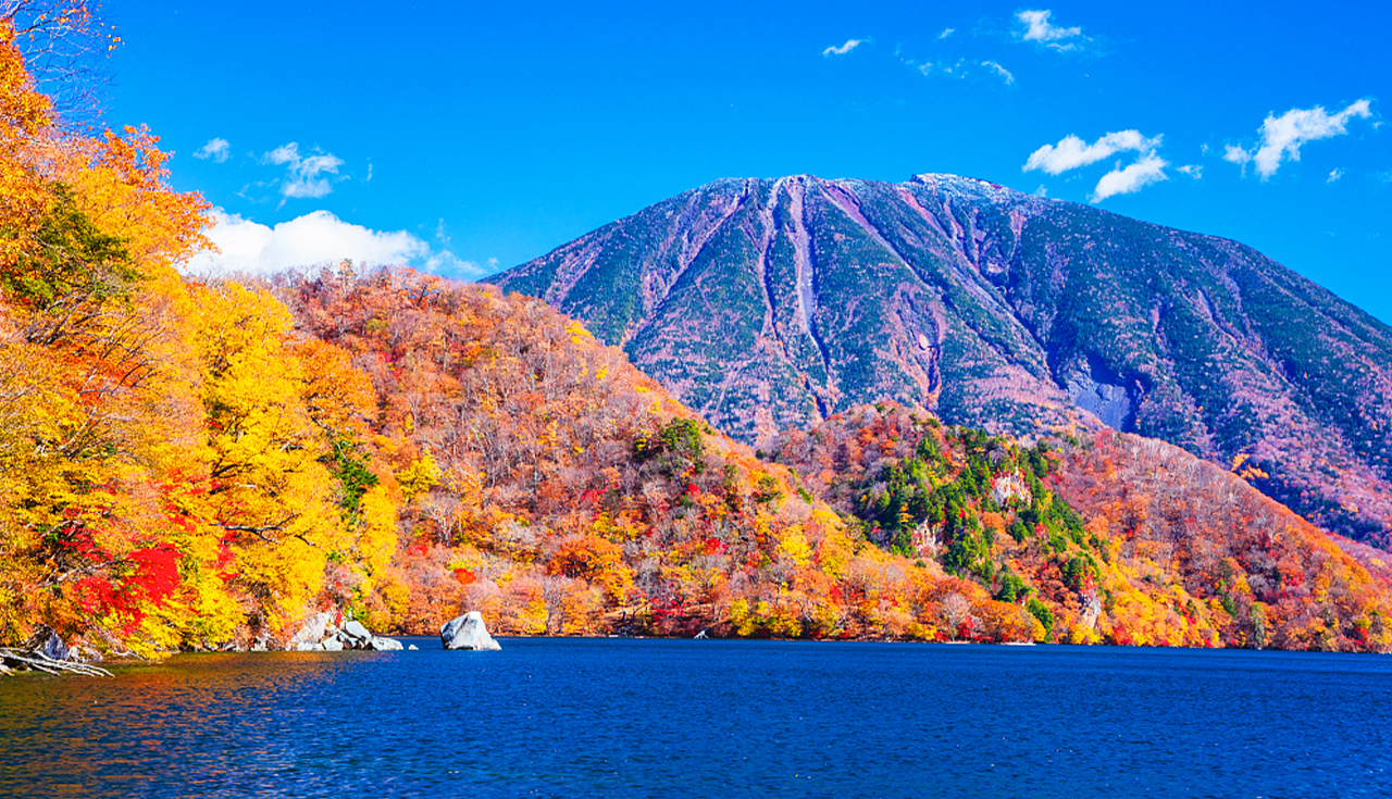 東照宮&伊呂波山道&明智平空中纜車&展望臺&中禪寺湖&華嚴瀑布