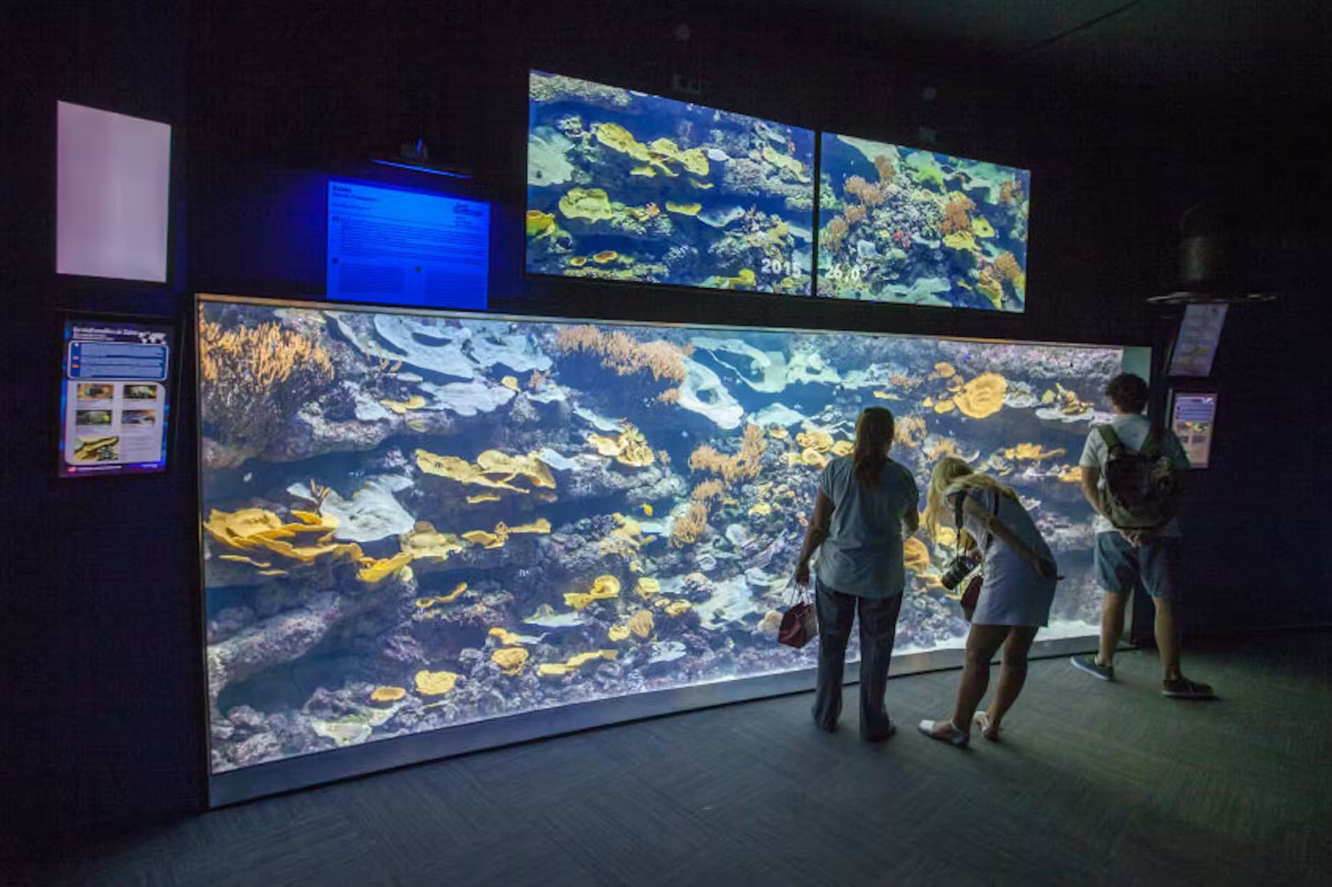 探索來自世界各地的10,000多種海洋生物