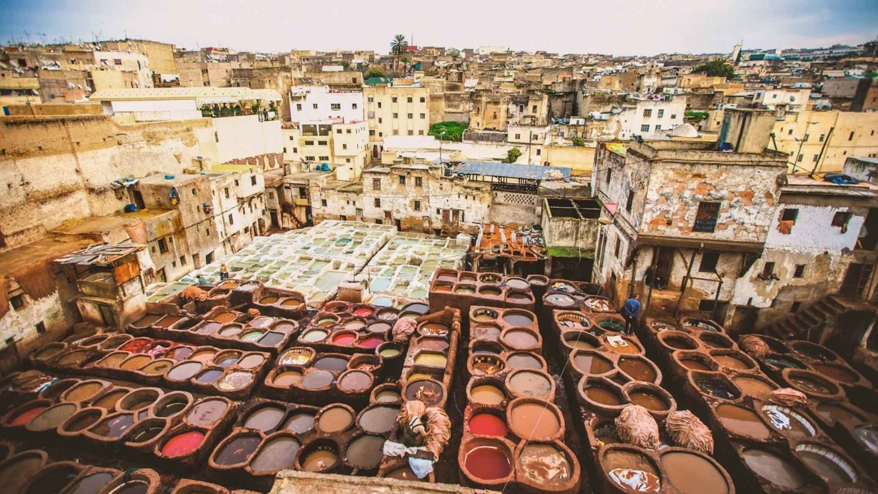 The Fez tannery displays vibrant dye-filled compartments used for traditional leather coloring