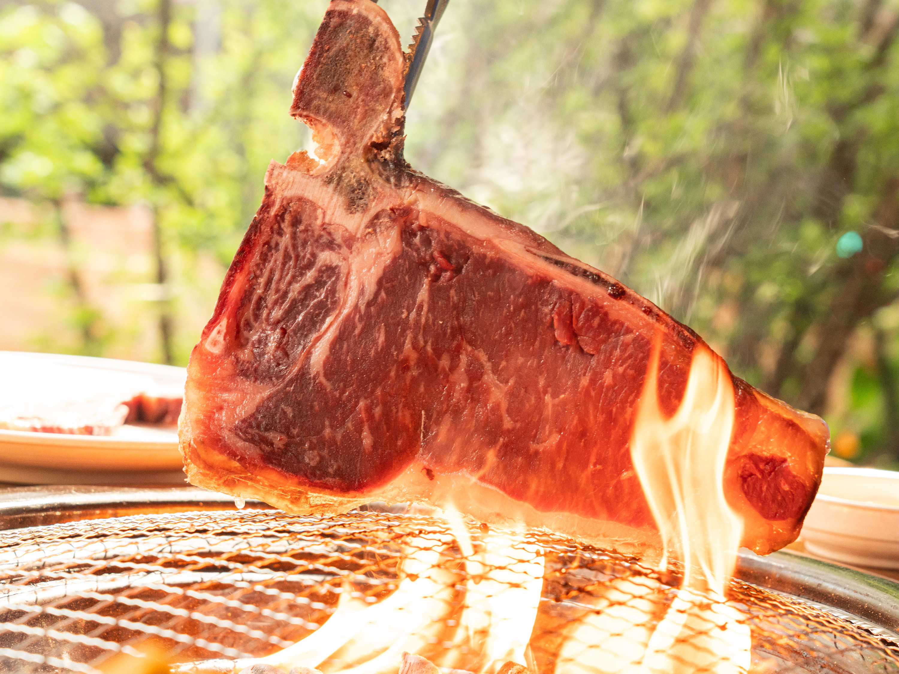 A Gourmet Korean BBQ & Dry-Aged Hanwoo Experience with a Chef