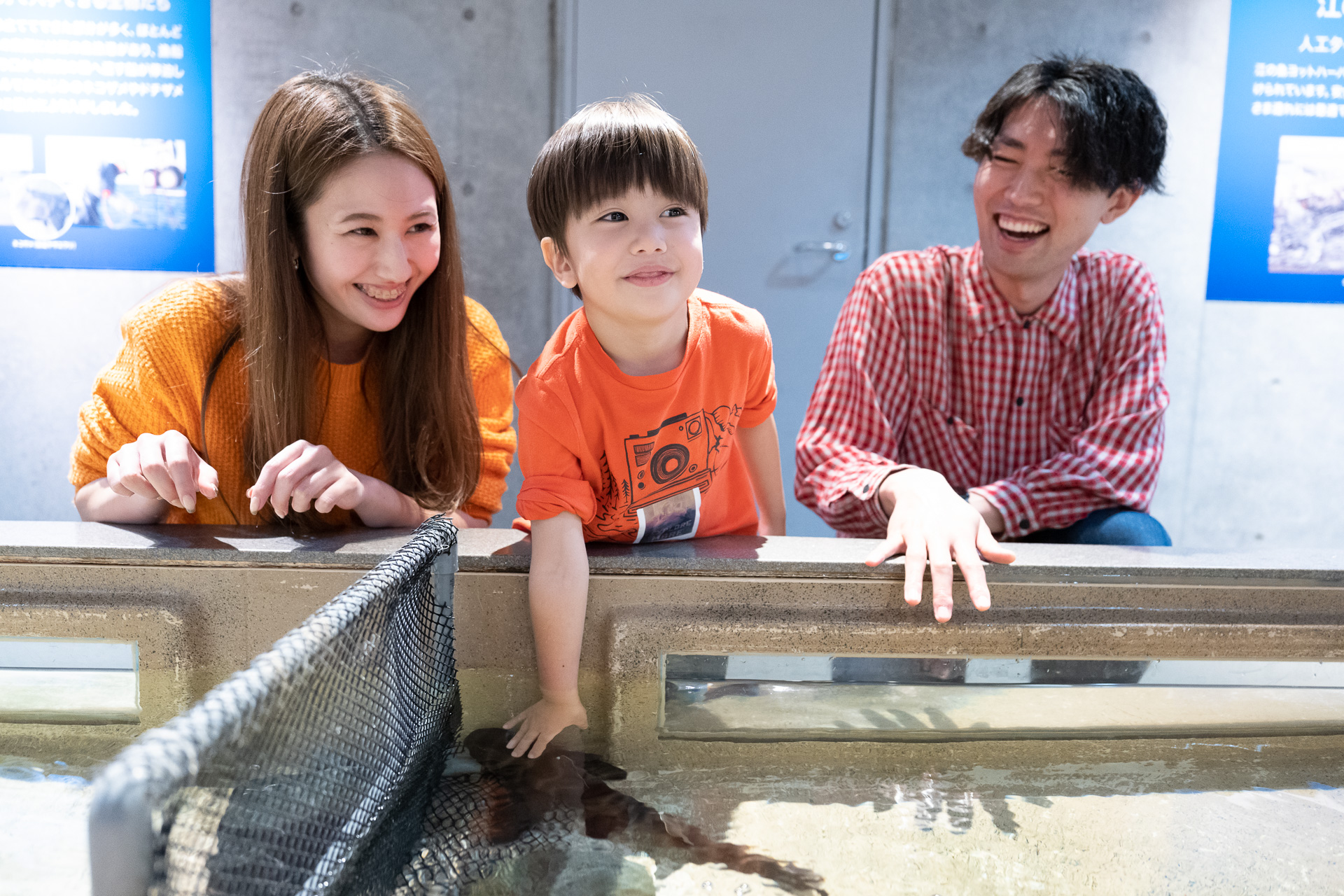 新江之島水族館門票