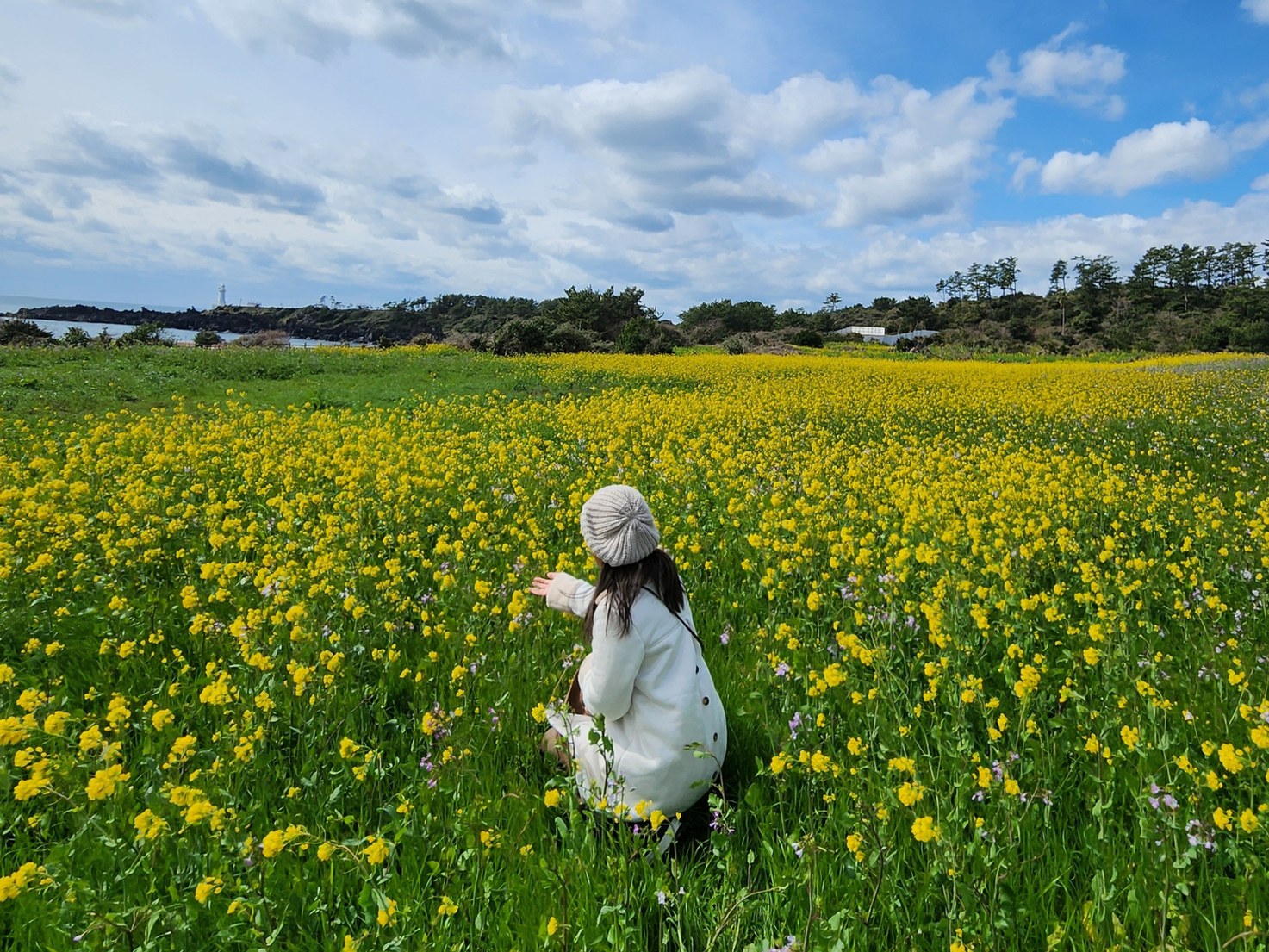Jeju island Charms Join in Day Tour