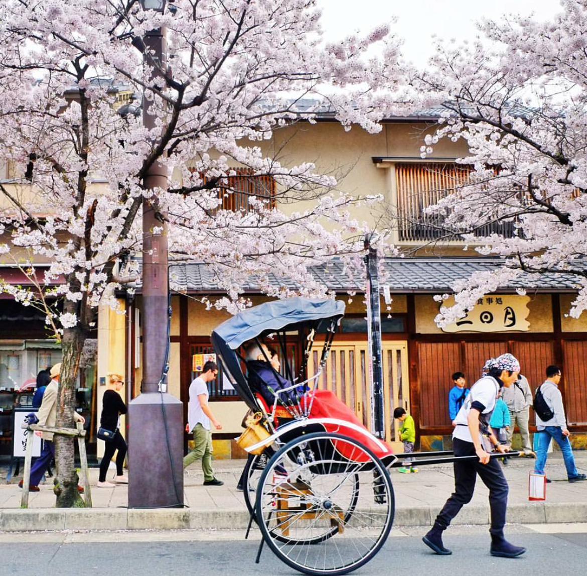 【京都全景一日遊】二條城&金閣寺&伏見稻荷大社千本鳥居&嵐山渡月橋&和服森林&竹林小徑（大阪或京都出發）