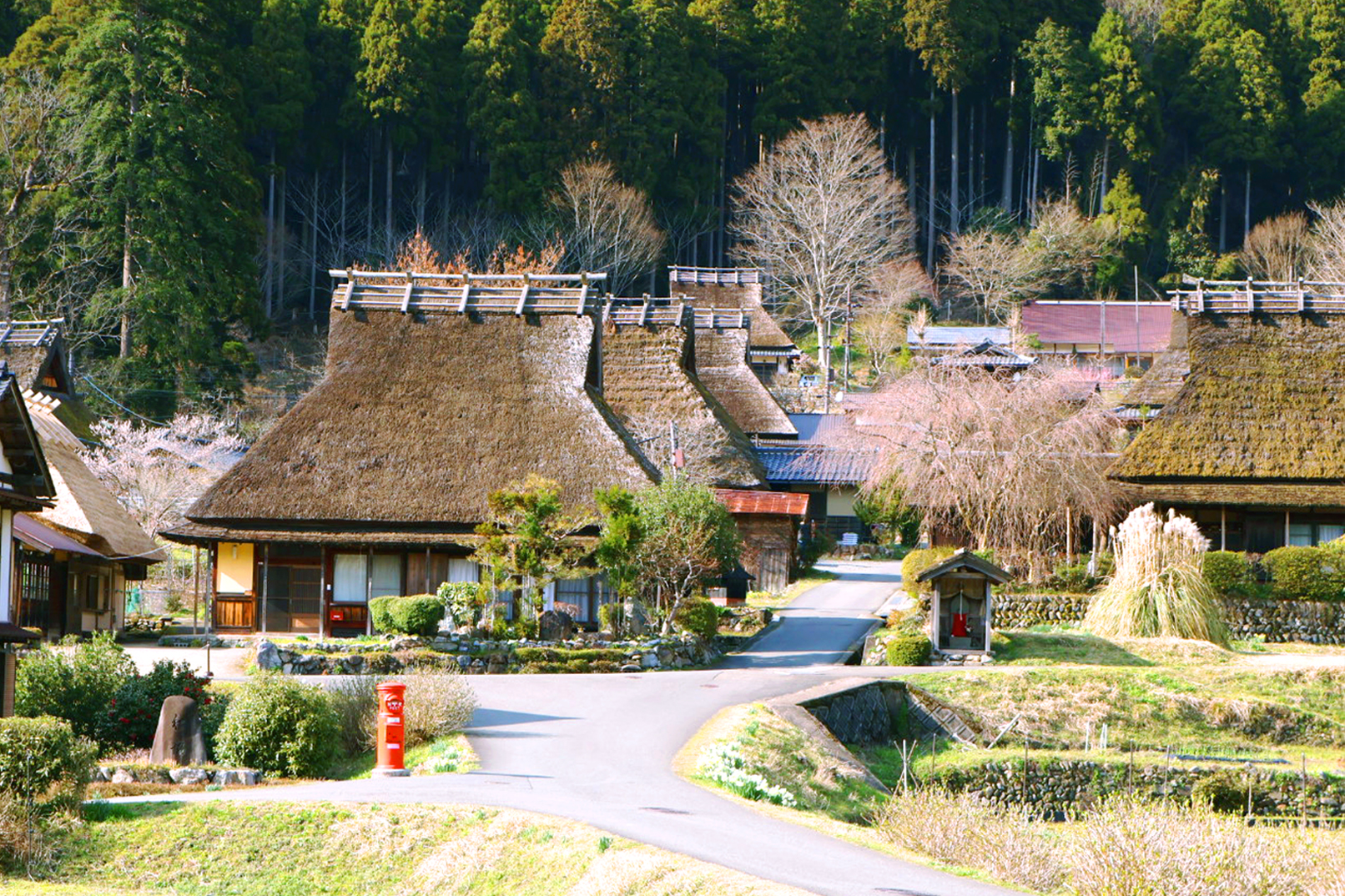 美山町