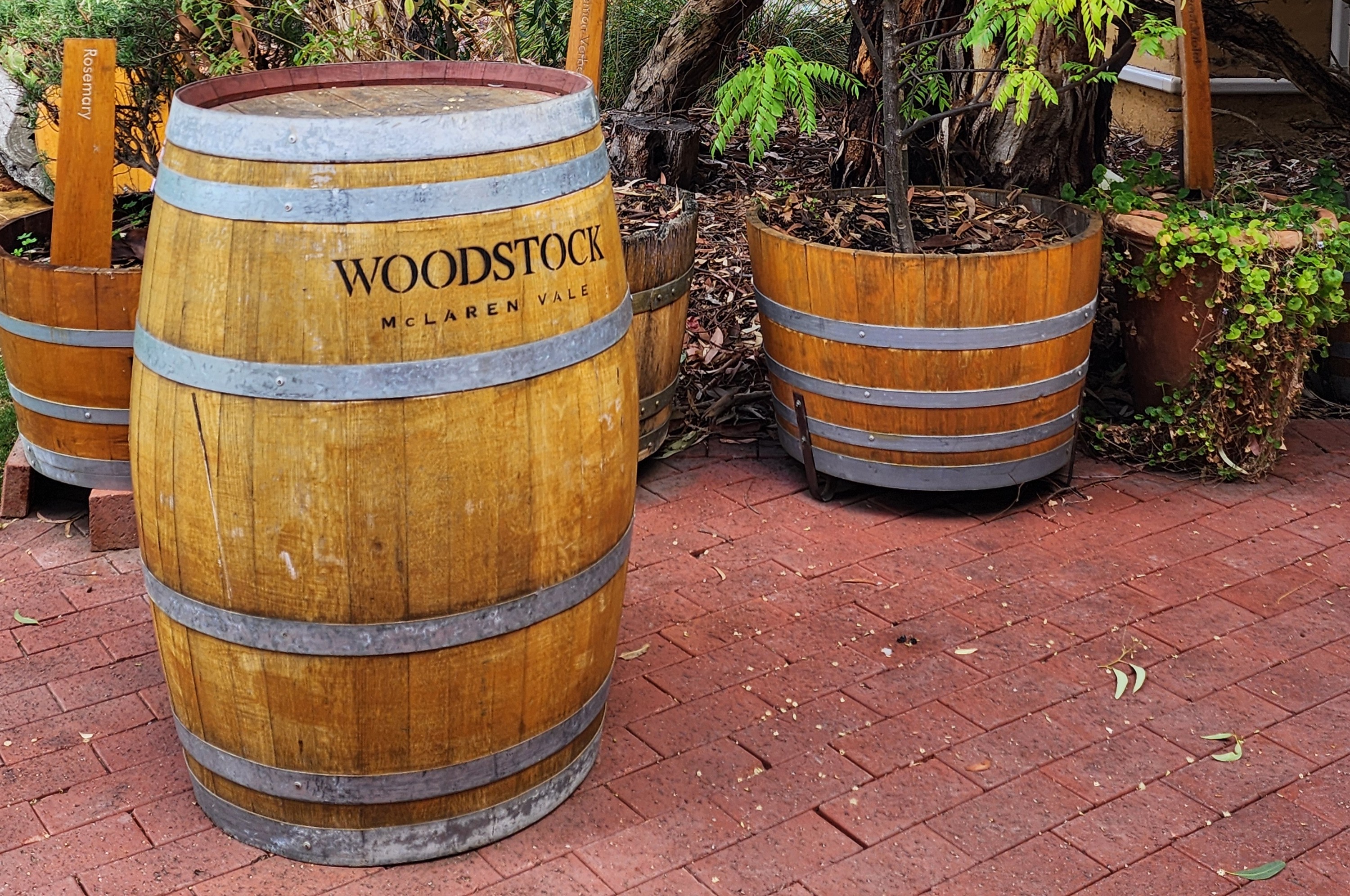 McLaren Vale All-Inclusive Wine Adventure: Tastings & Lunch