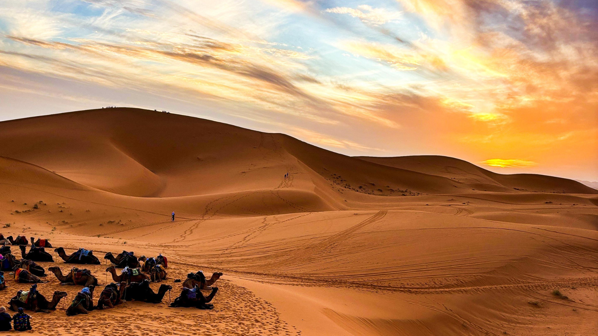 Marrakech Sahara Desert & High Atlas Private Multi-Day Tour