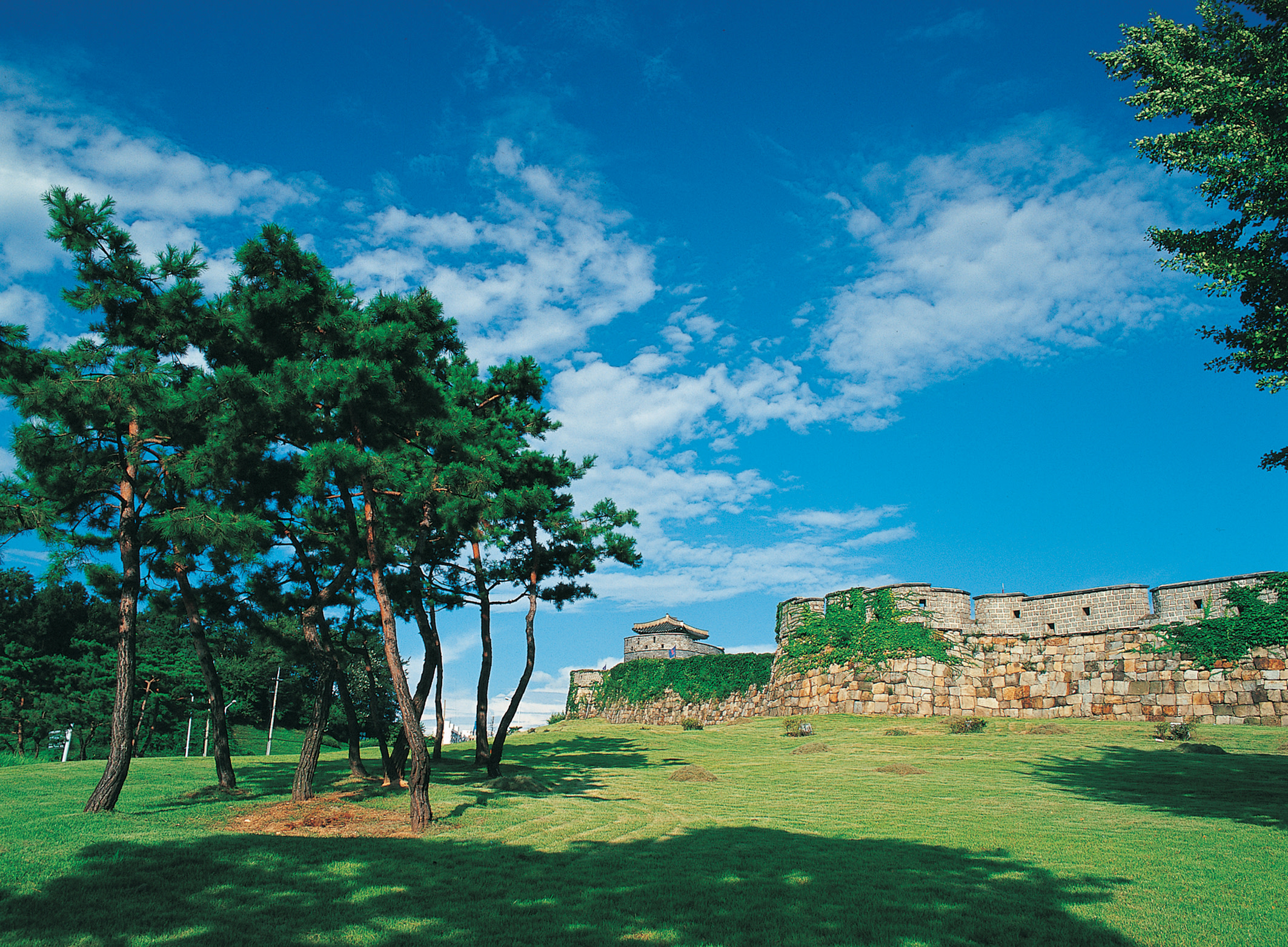 서울 출발 수원 화성 투어