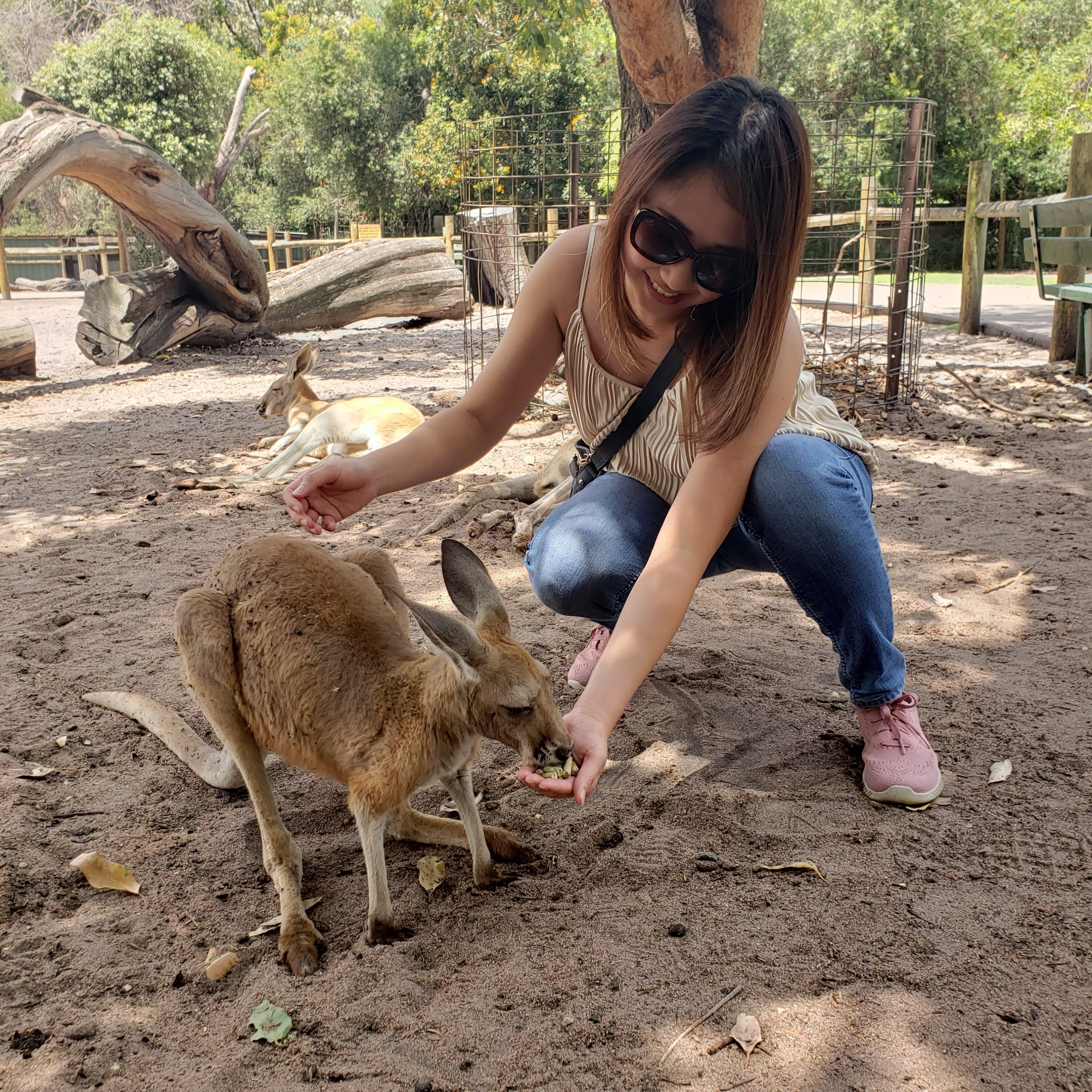 Perth Wildlife Park & City Highlights - Guaranteed Small Group Tour