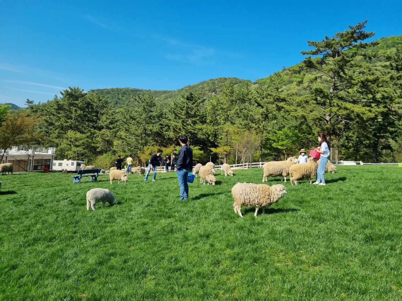 [BTO-Exclusive]Namhae Island One Day Tour from Busan