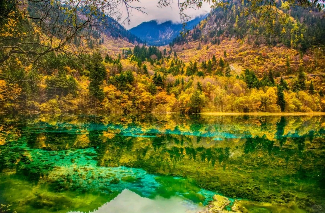 九寨溝風景區位於阿壩州九寨溝縣境內。溝中雪山聳立，林木茂密，水池淺灘五彩斑斕，晶瑩的溪水穿行於森林和淺灘之間。再加上藏家木樓、經幡以及藏羌民族獨特的傳統習俗，九寨溝被人們稱為“美麗的童話世界”。
