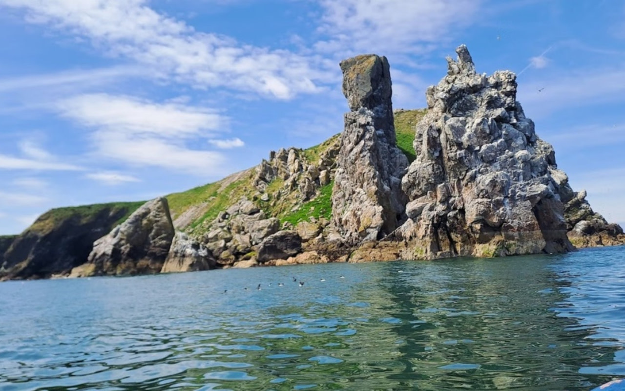 Ireland's Eye and Howth Coast boat tour from Dublin