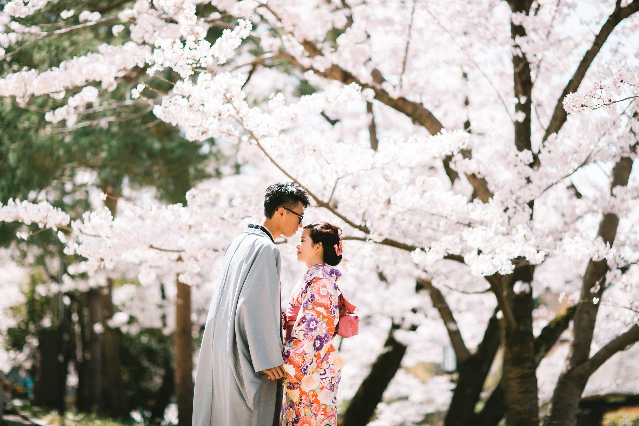 嵐山(竹林&渡月橋) - 京都的亮點組合:神秘的竹林小徑和著名的渡月木橋,可欣賞河流和山景。 春季和秋季尤其美麗。 嵐山(竹林&渡月橋) - 京都的亮點組合:神秘的竹林小徑和著名的渡月木橋,可欣賞河流和山景。 春季和秋季尤其美麗。