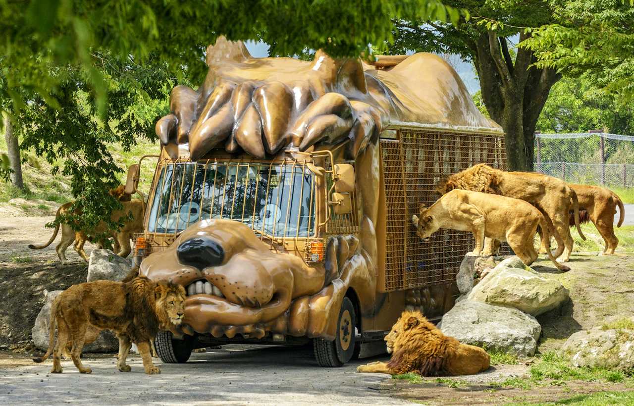 Kyushu Natural Animal Park - Get close to nature at Japan's largest wildlife park